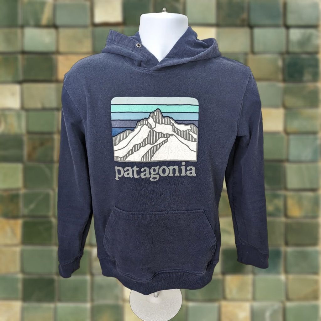 Patagonia Patagonia Hoodie Men's Small Blue Long Sleeve Pullover Sweatshirt Size US S / EU 44-46 / 1 - 1 Thumbnail