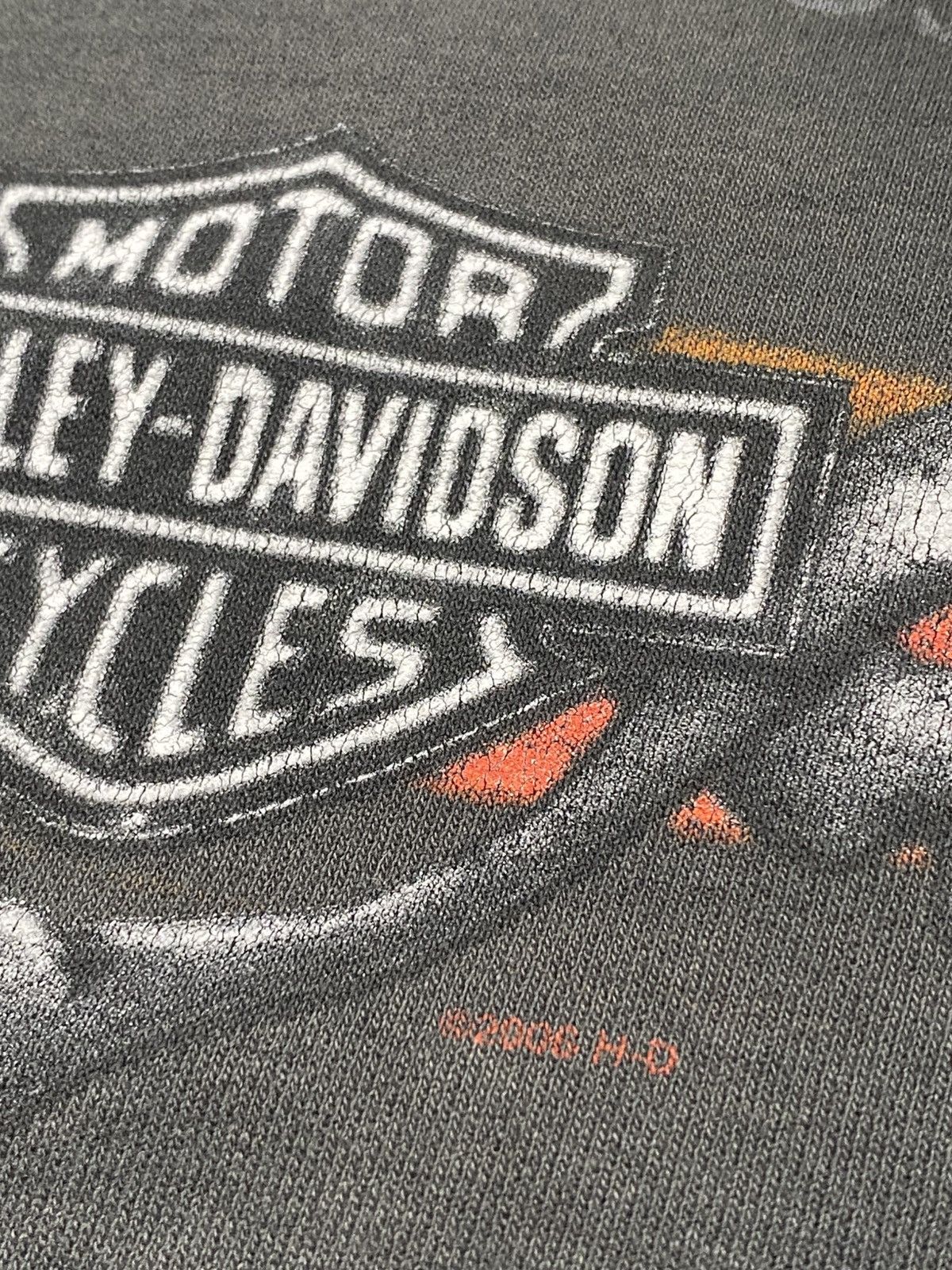 Harley Davidson Grail Vintage y2k 2006 Harley Davidson El Cajon Distressed Size US M / EU 48-50 / 2 - 5 Thumbnail