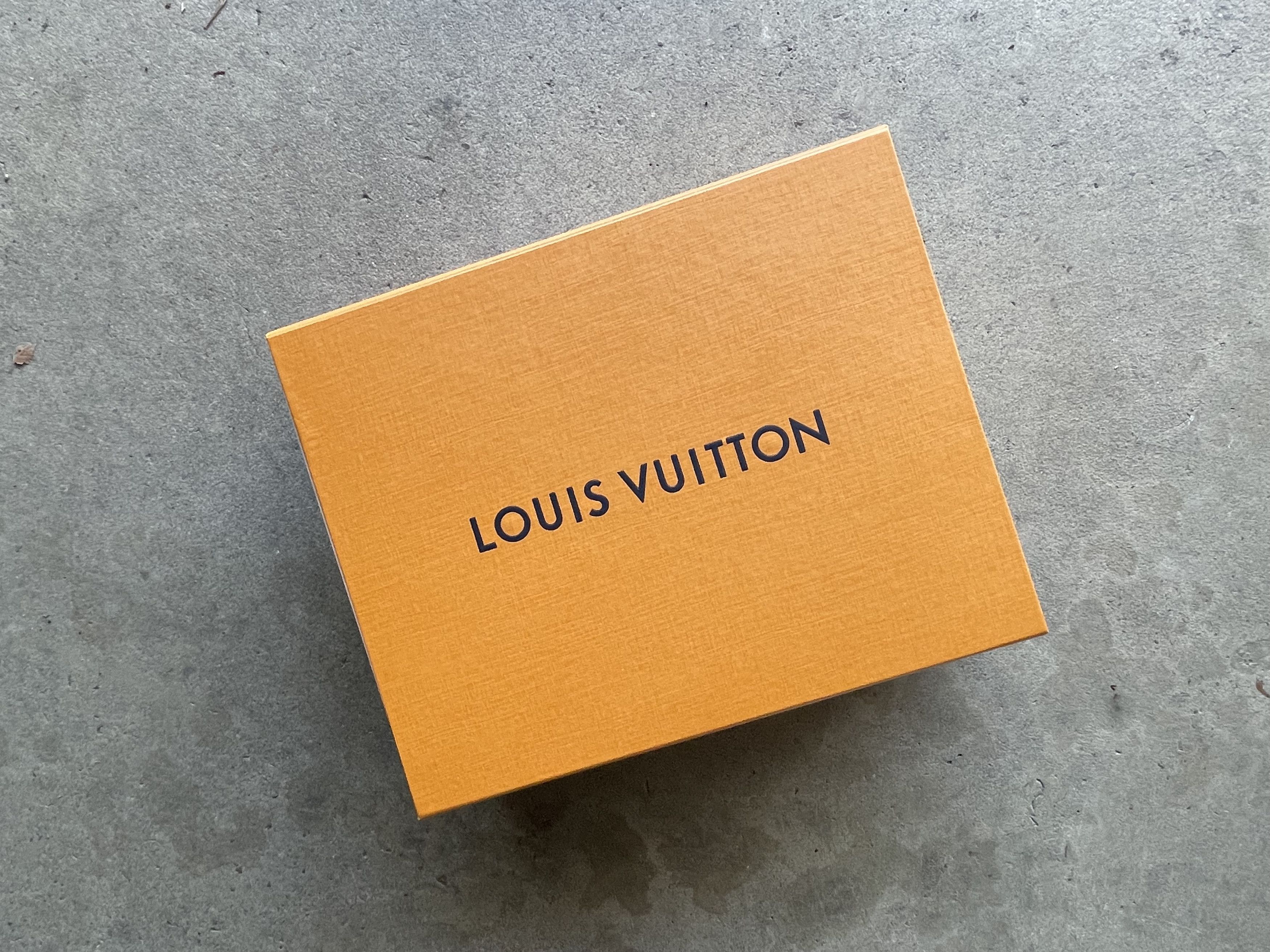Louis Vuitton Louis Vuitton FW 2022 Python Skin Skate Sneakers Size US 8 / EU 41 - 8 Thumbnail