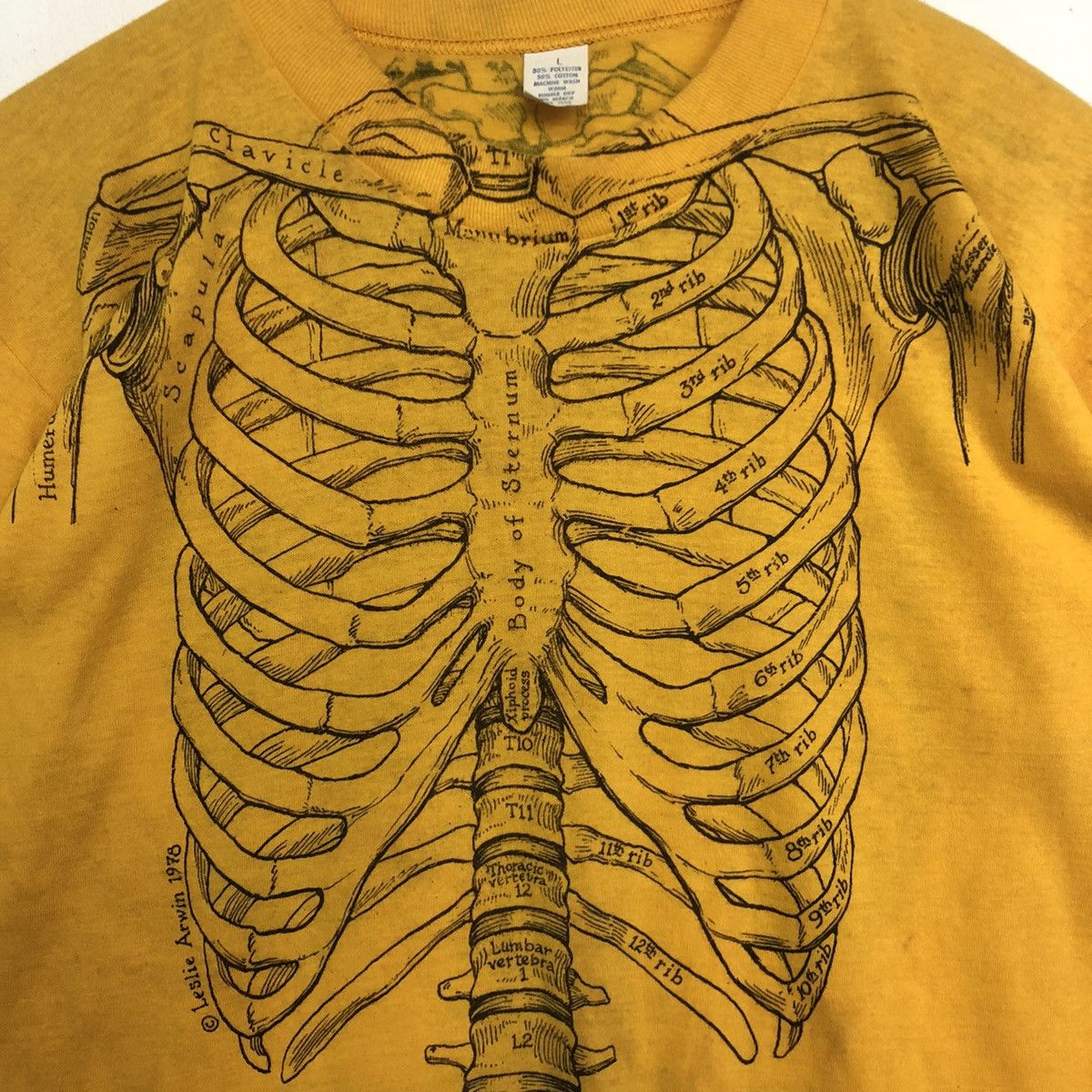 Art Comes First VINTAGE ART LESLIE ARWIN 1978 ANATOMY SKULL BONES TSHIRT Size US L / EU 52-54 / 3 - 7 Thumbnail