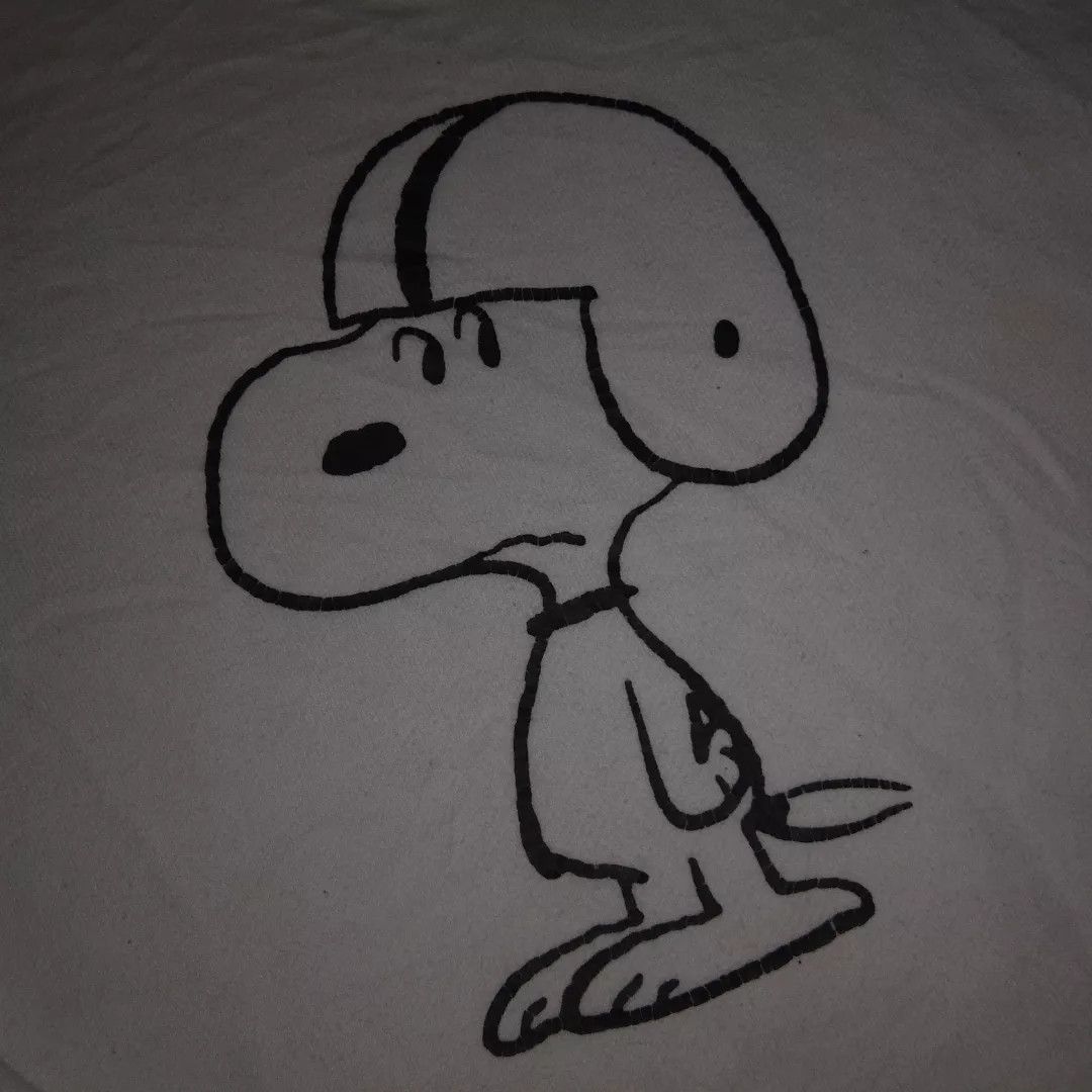 Japanese Brand Jackson Matisse x Journal Standard x Peanuts sweatshirt Size US L / EU 52-54 / 3 - 1 Thumbnail