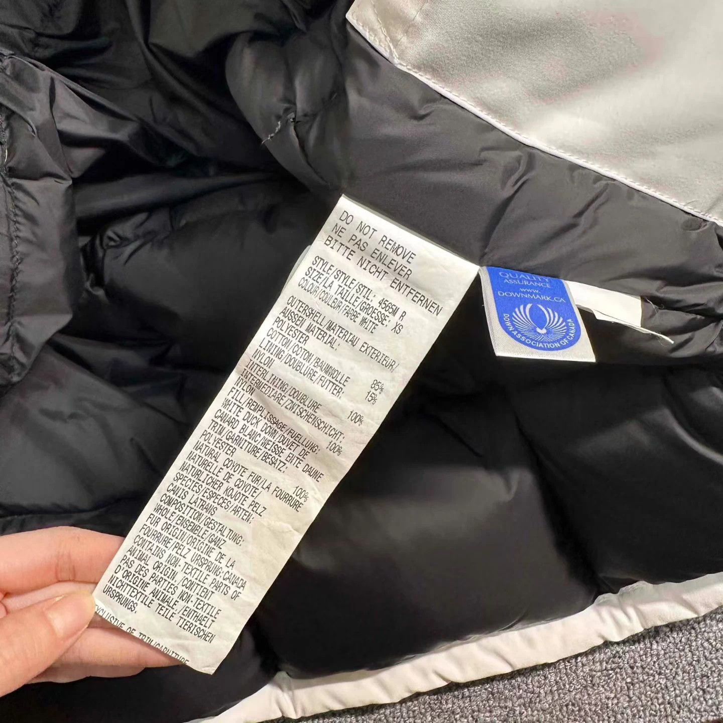 Canada Goose CANADA GOOSE Expedition Parka xs 99 New Size US XS / EU 42 / 0 - 3 Thumbnail