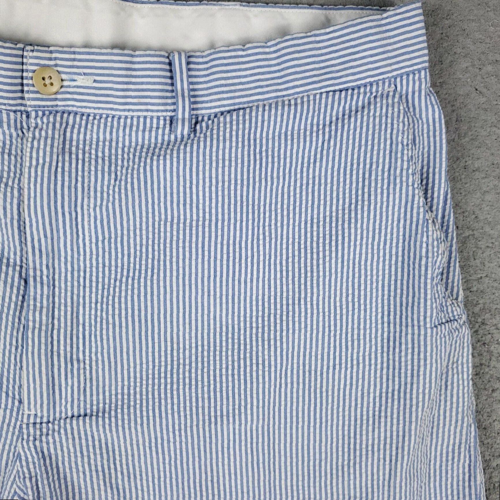 Ralph Lauren Ralph Lauren Shorts Mens Size 36 Blue Stripe Chino Flat Front Cotton Zip Size US 36 / EU 52 - 3 Thumbnail