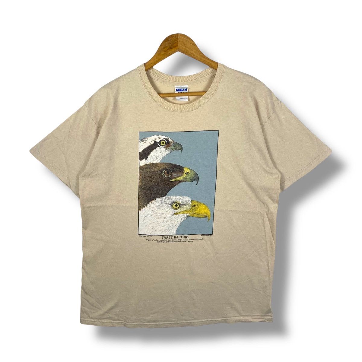 Vintage Vintage 90's EAGLES Three Raptors Diana Dee Tyler Graphic Size US L / EU 52-54 / 3 - 1 Thumbnail