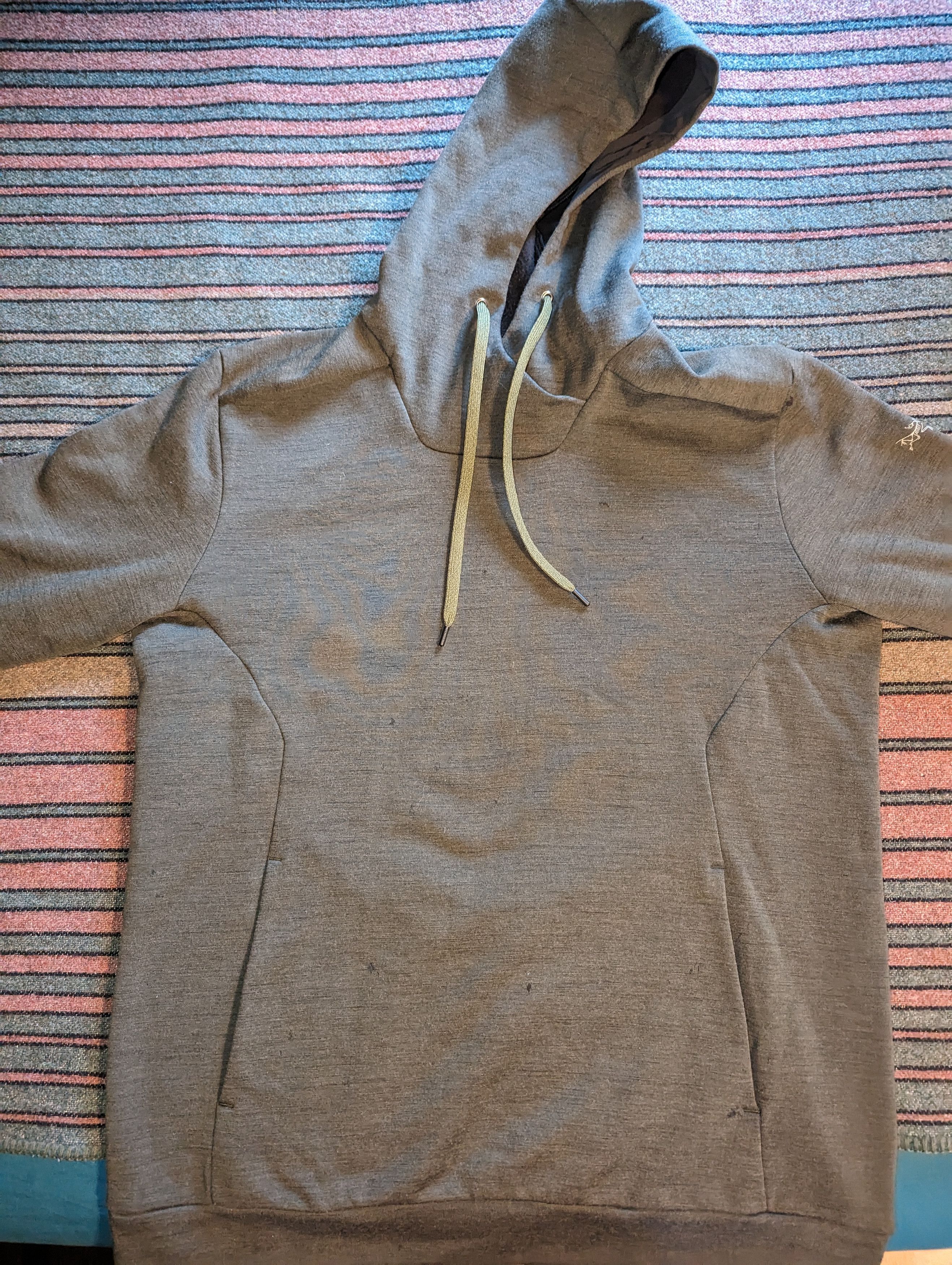 Arc'teryx Arc'teryx Elgin Hoodie *RARE* Size US L / EU 52-54 / 3 - 2 Thumbnail