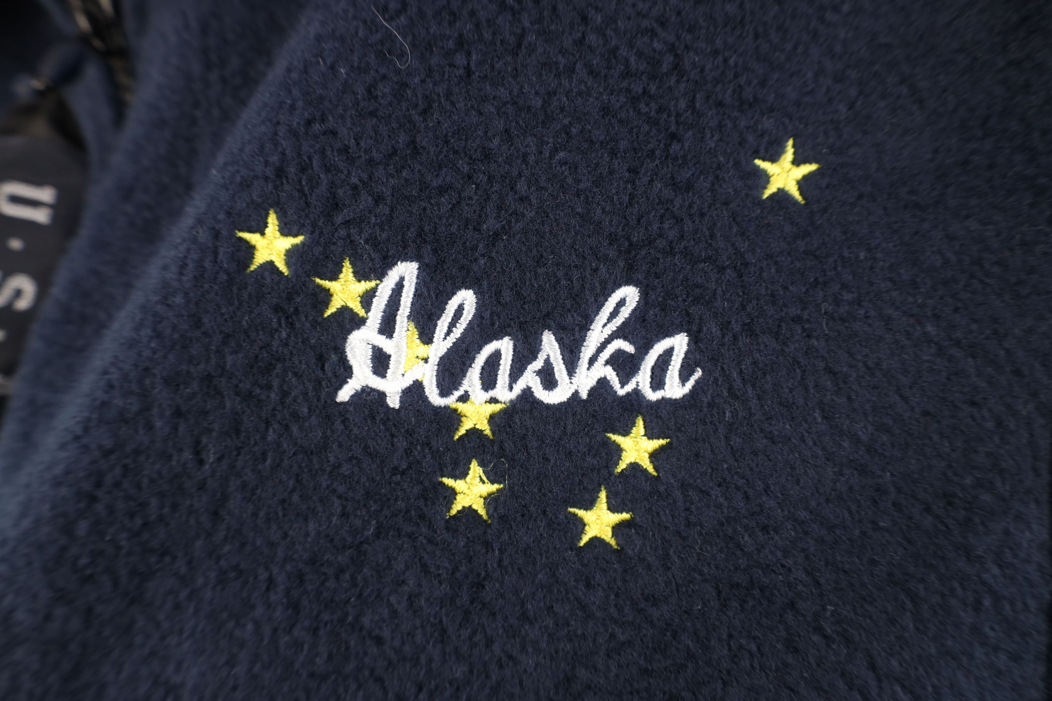 Vintage Vintage 90s Streetwear Alaska Fleece Vest Jacket Blue USA Size US L / EU 52-54 / 3 - 4 Thumbnail