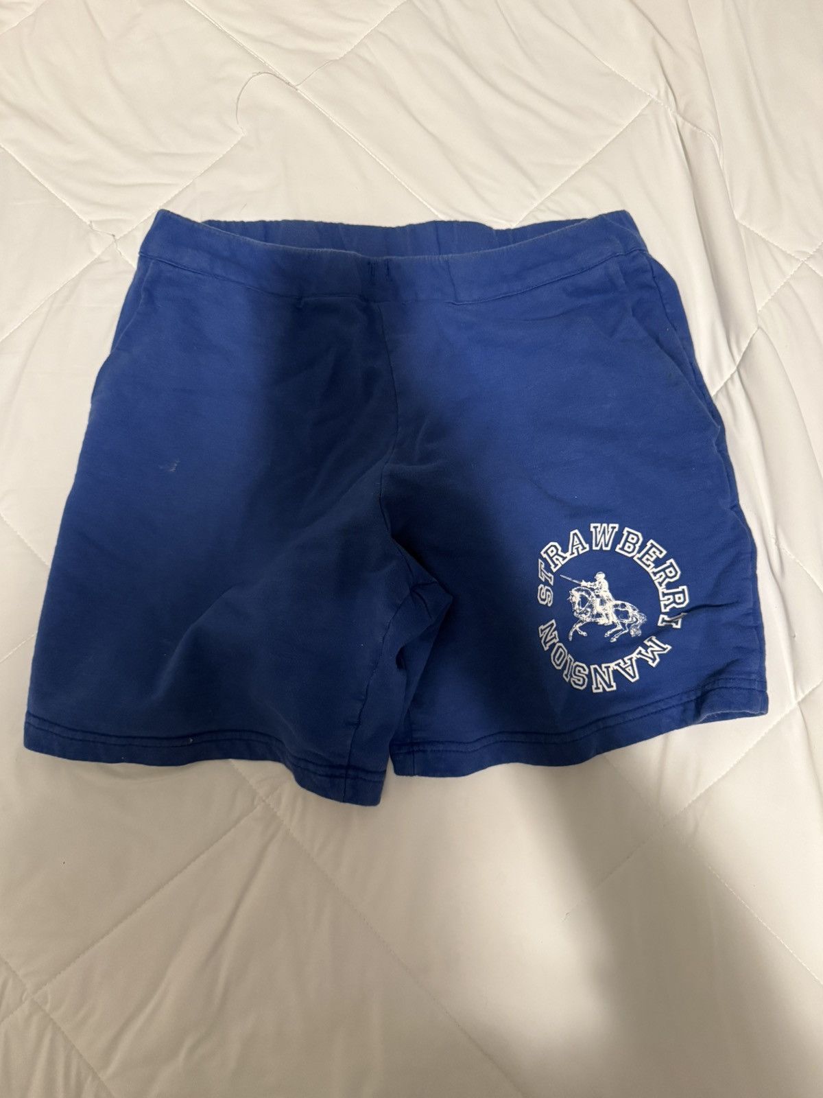 Unwanted Strawberry Mansion shorts Size US 30 / EU 46 - 1 Thumbnail