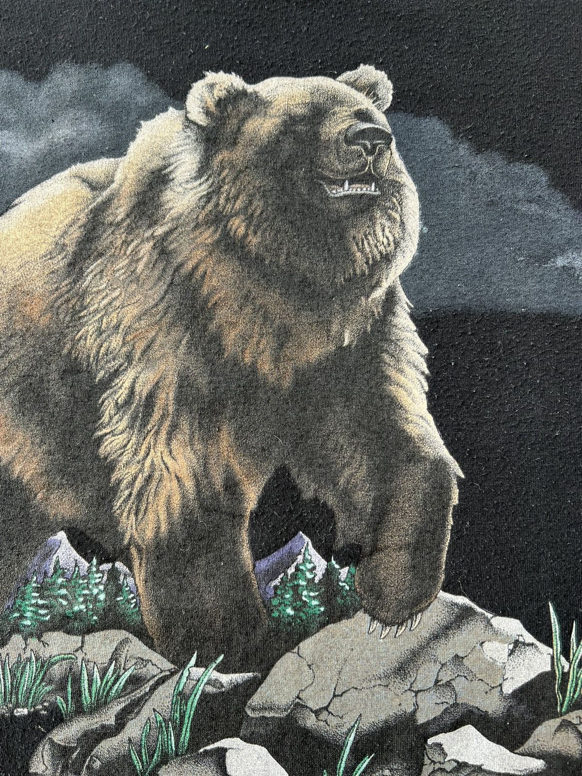 Vintage Vintage 1993 Harlequin Grizzly Bear Niagara Falls Canada Tee Size US XL / EU 56 / 4 - 5 Thumbnail
