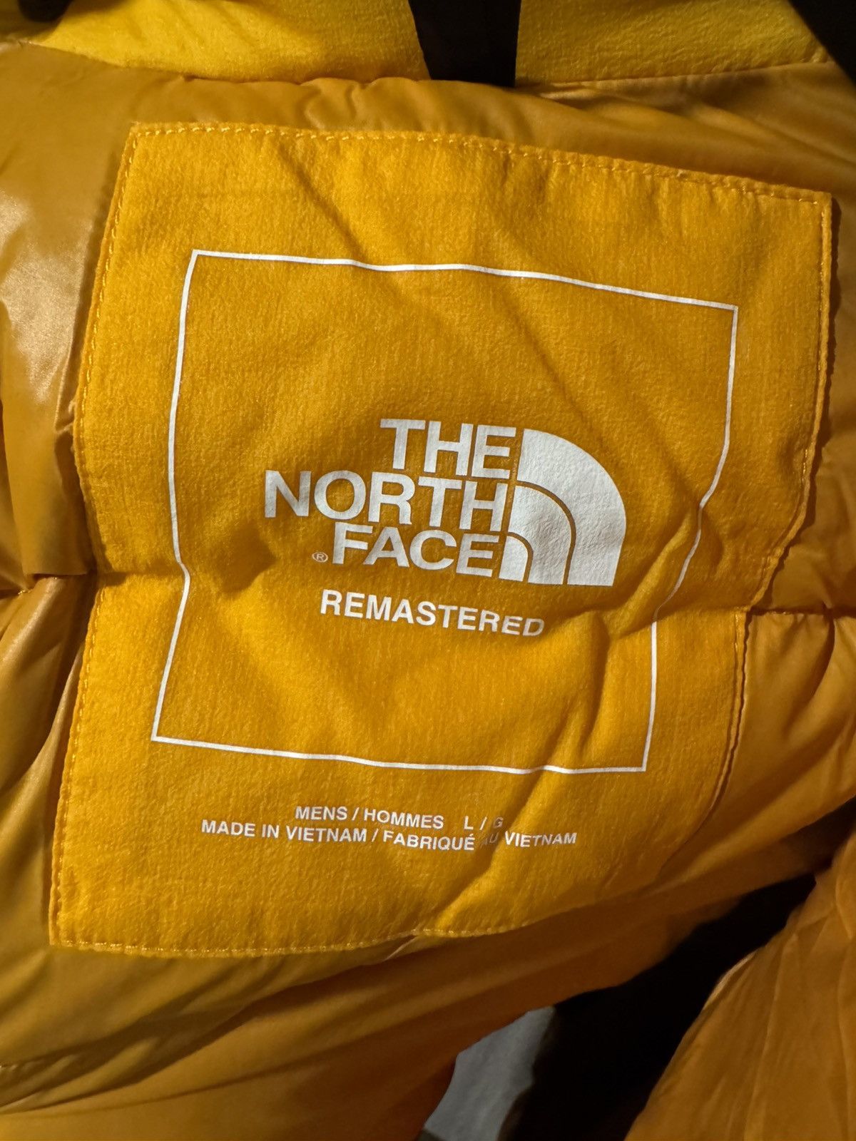 The North Face The North Face M rmst sierra parka Size US L / EU 52-54 / 3 - 2 Thumbnail