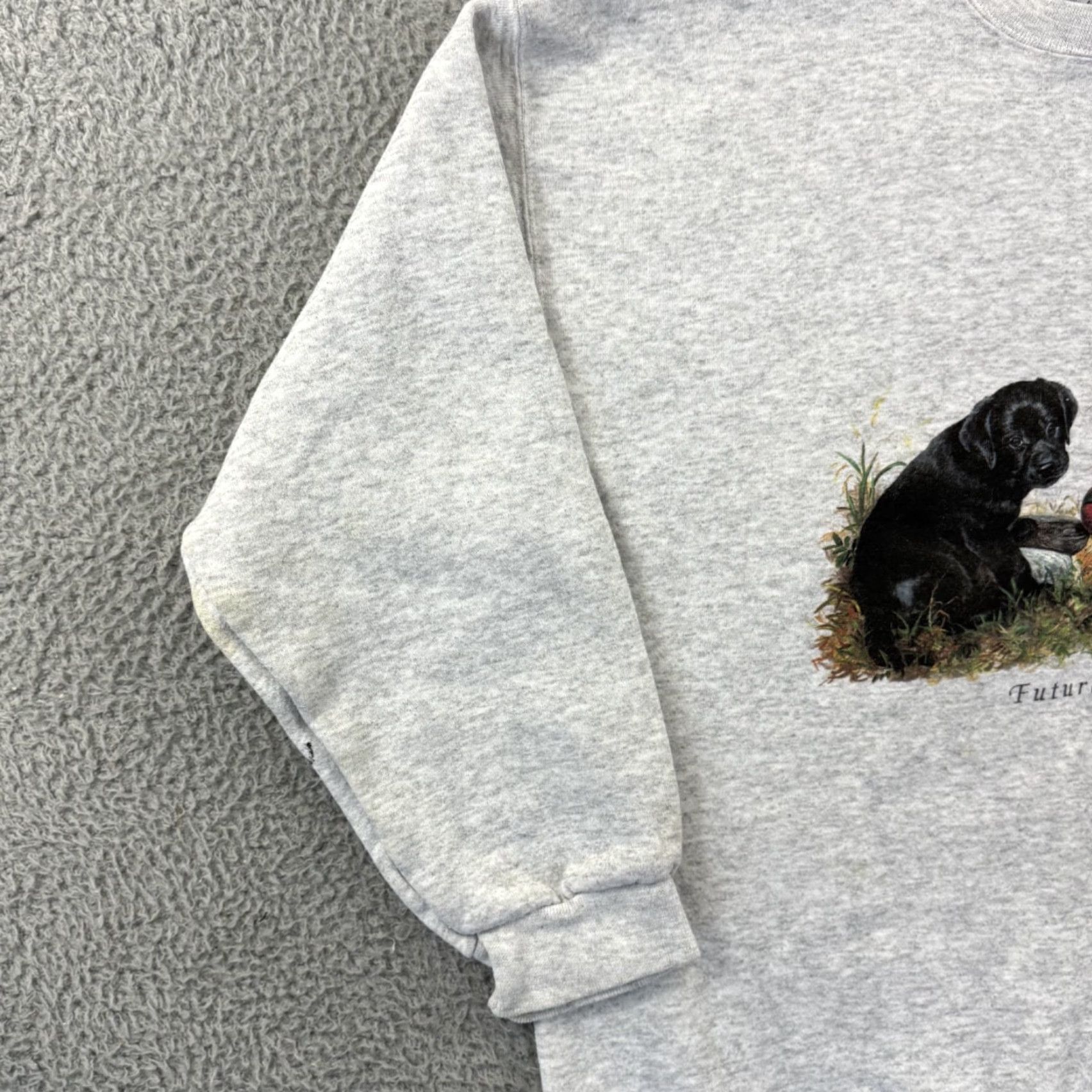 Vintage VINTAGE Enviromental Artwear Sweatshirt Dog Nature Mens Large Gray Long Sleeve 90s Pullover Crew Neck Embroidered Graphic Print Size US M / EU 48-50 / 2 - 4 Thumbnail