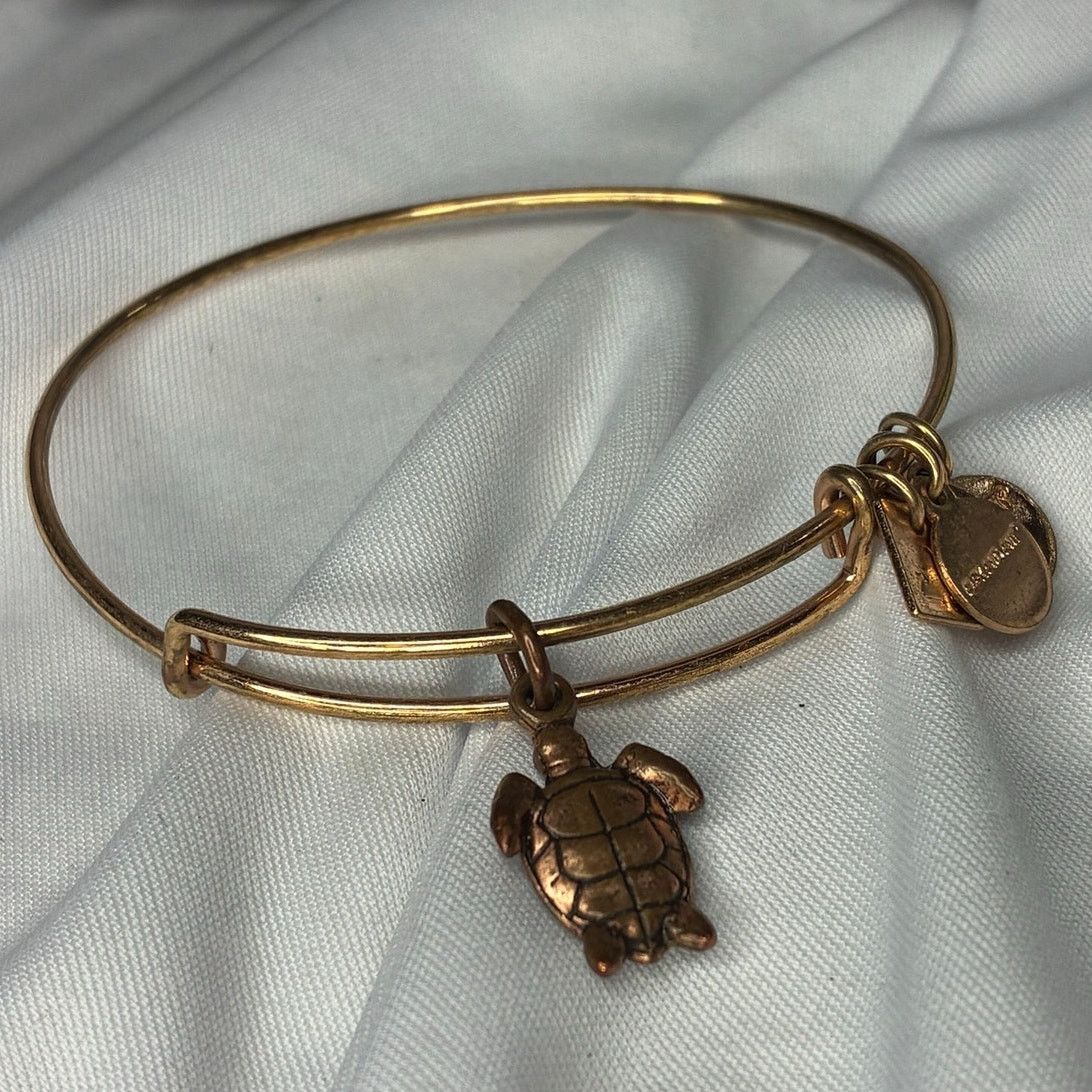 Other Alex and Ani Sea Turtle Bangle Bracelet Rafaelian Gold Tone Size ONE SIZE - 5 Thumbnail