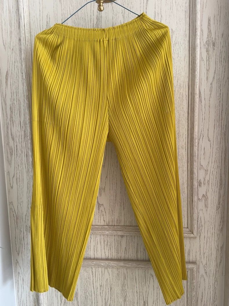 Issey Miyake Issey Miyake PP Pleated Straight Pants - dmc Size US 30 / EU 46 - 1 Thumbnail