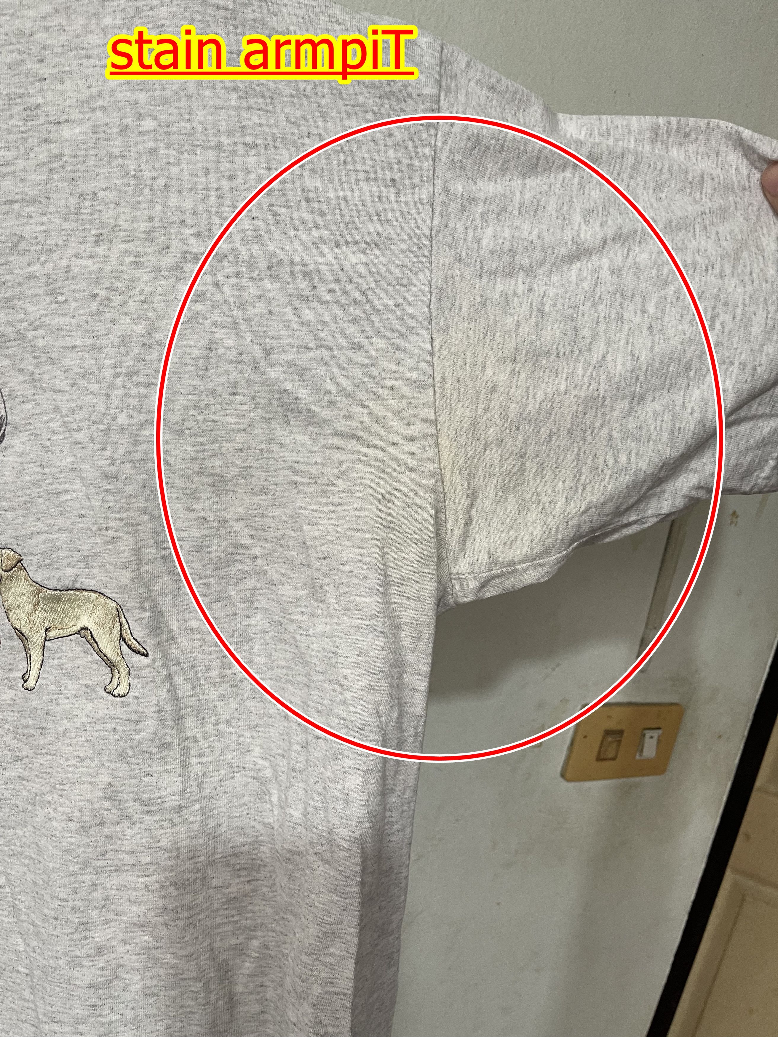 Vintage Vintage Labrador Retriever Shirt Size US XL / EU 56 / 4 - 7 Thumbnail