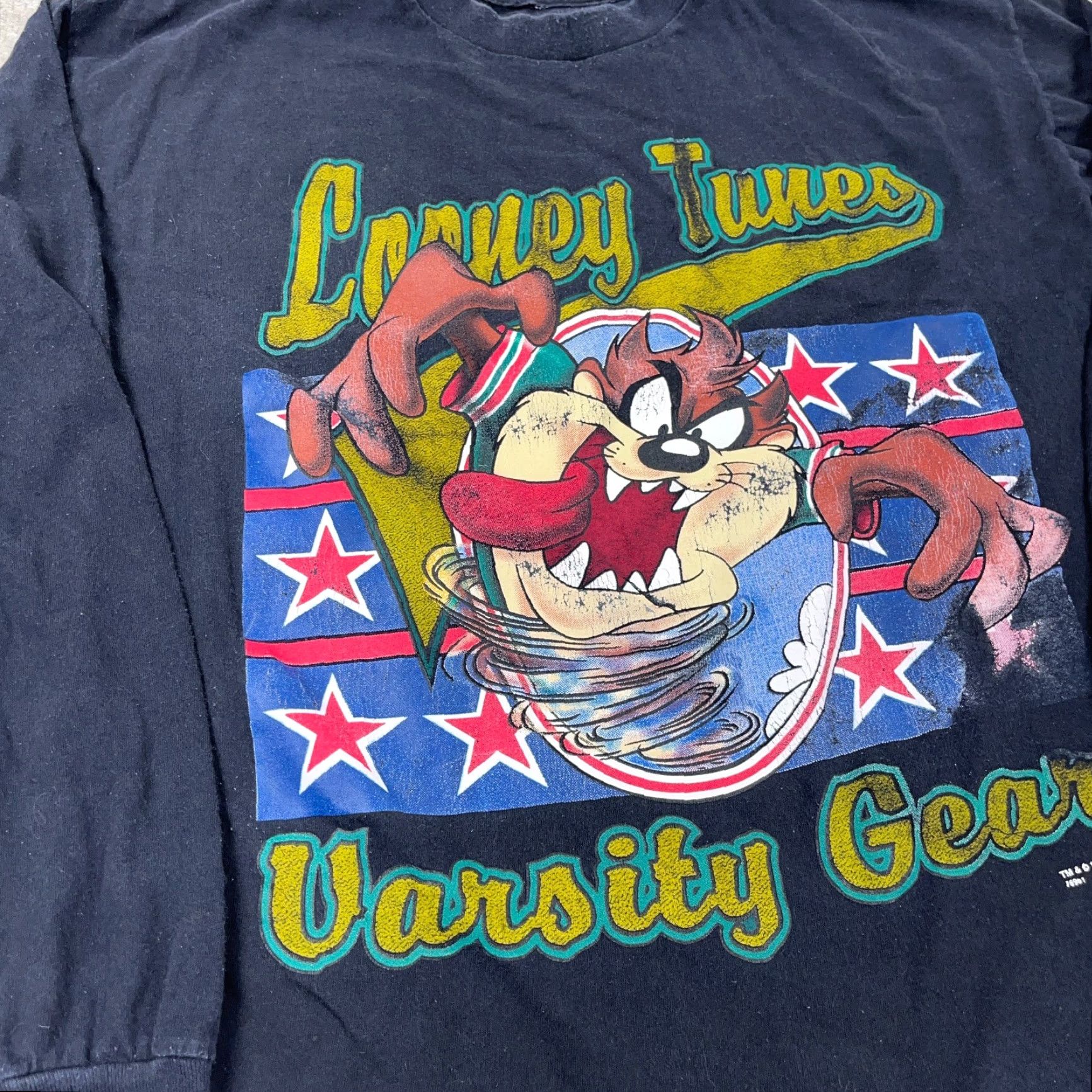Vintage VINTAGE Looney Tunes Shirt Men Large Crew Neck 1990s Black T-Shirt Tasmanian Devil Tasmanian Devil 90s Cartoon Retro Mens Size US L / EU 52-54 / 3 - 5 Thumbnail