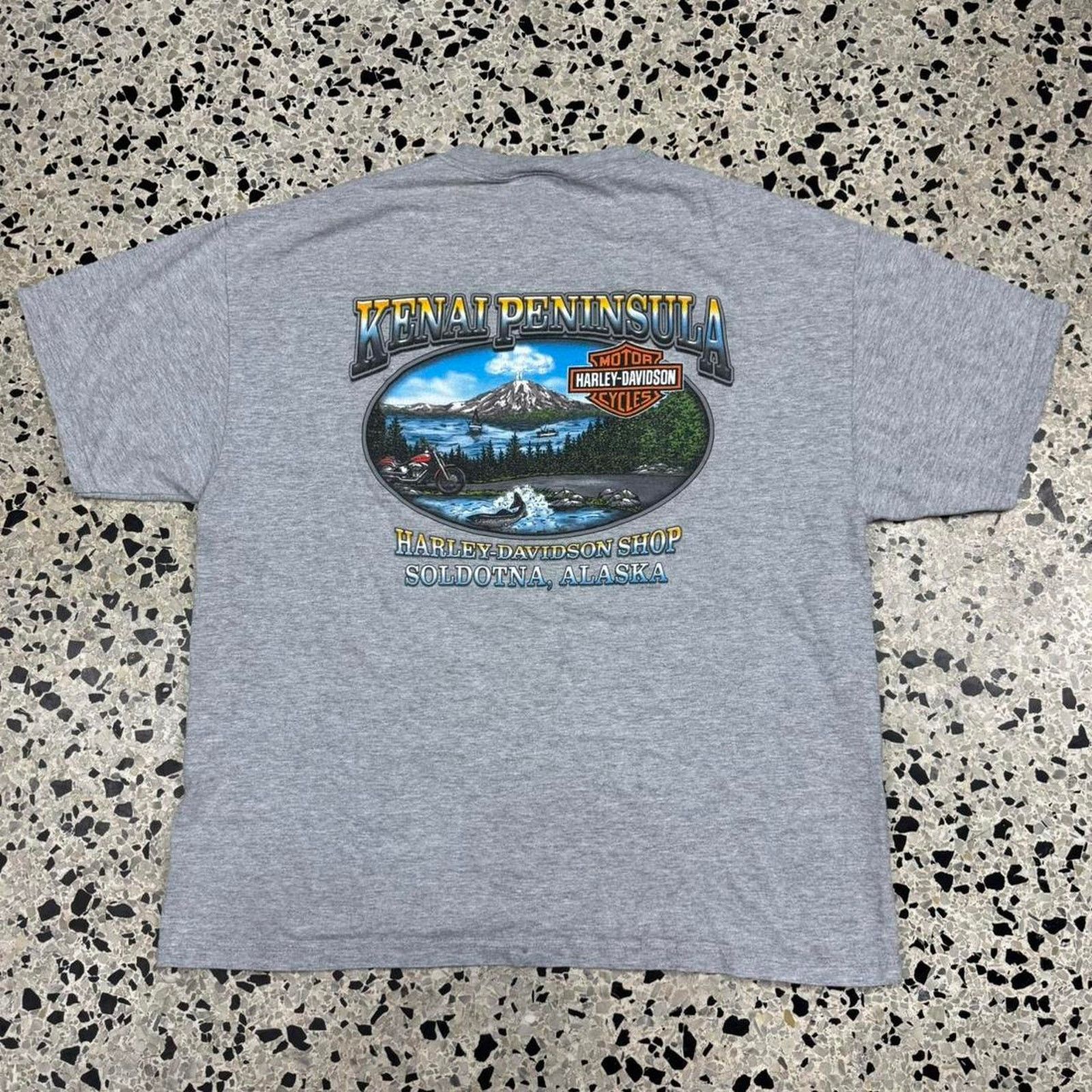 Harley Davidson × Vintage VINTAGE 2004 HARLEY DAVIDSON MOTORCYCLES BUGS TEE: Size US XL / EU 56 / 4 - 5 Thumbnail