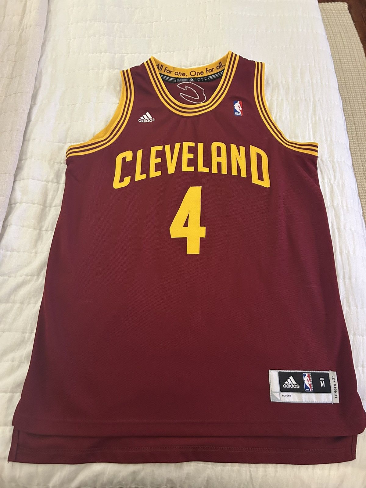 Adidas NBA Authentics Antawn Jamison Cavs Jersey Size US M / EU 48-50 / 2 - 1 Thumbnail
