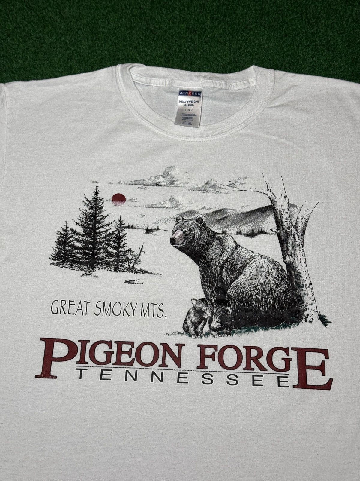 Vintage Vtg Pigeon Force Tennessee Smokey Mountains Nature T Shirt Size US M / EU 48-50 / 2 - 2 Thumbnail