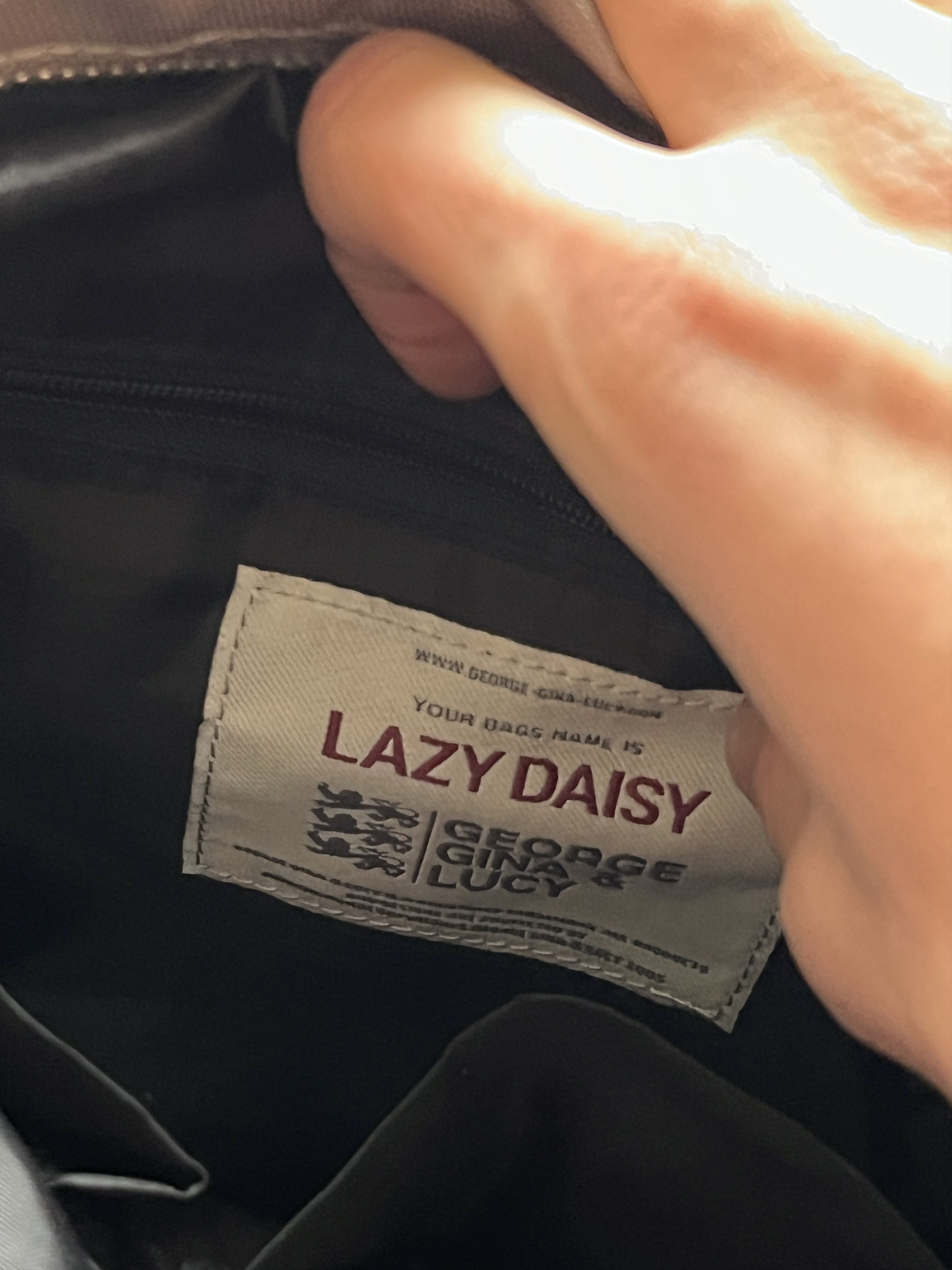 george gina lucy lazy daisy y2k bag