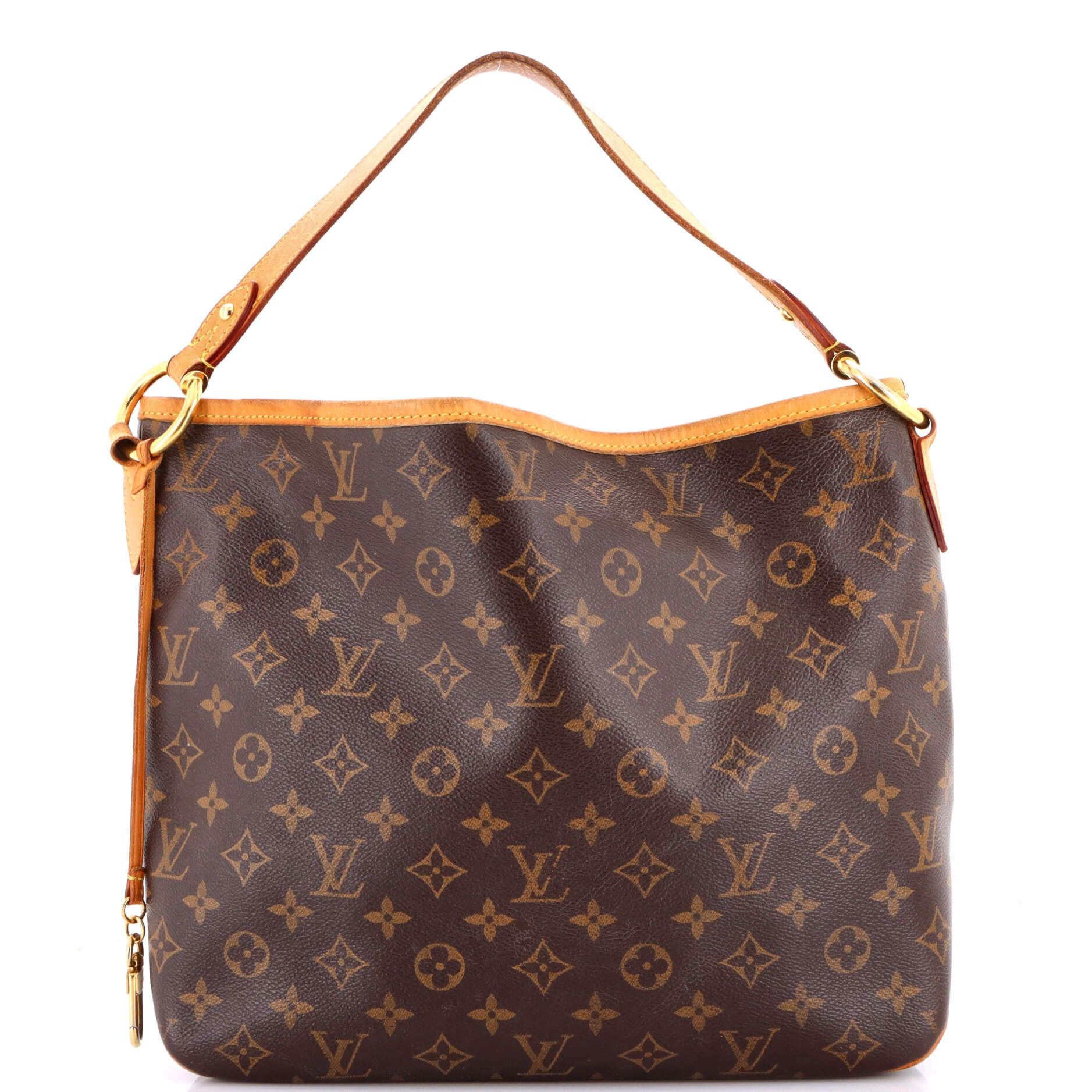 Louis Vuitton Delightful NM Handbag Size ONE SIZE - 1 Thumbnail
