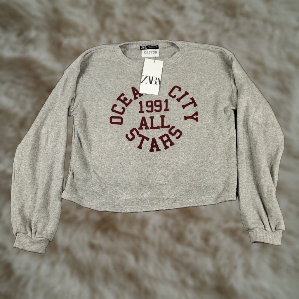 Zara Zara Gray Pullover Sweater Womens Small Crew Neck Long Sleeve Cotton Blend Size S / US 4 / IT 40 - 1 Thumbnail