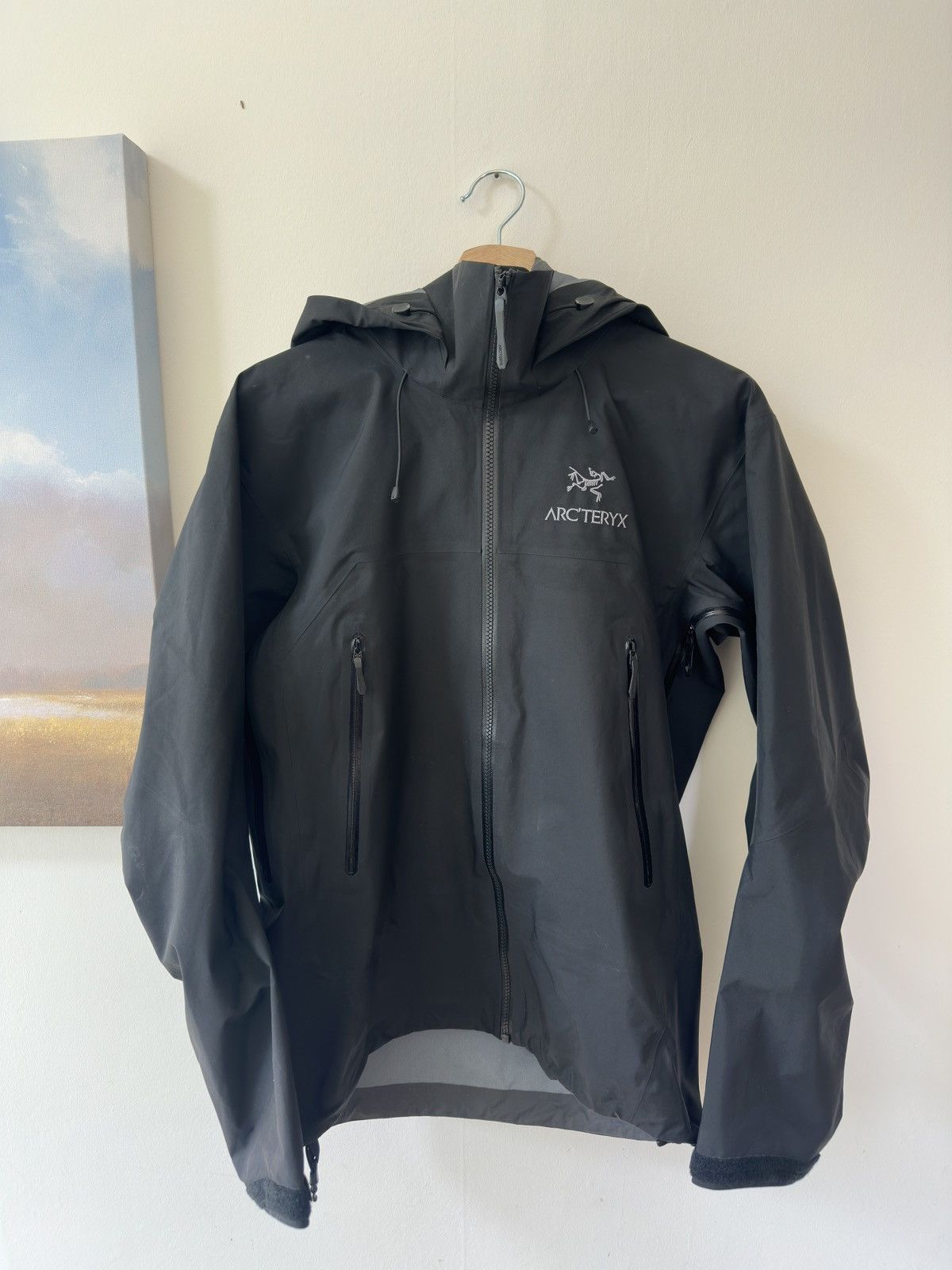 Arc'teryx × Goretex Beta SV Shell - Distortion | Grailed