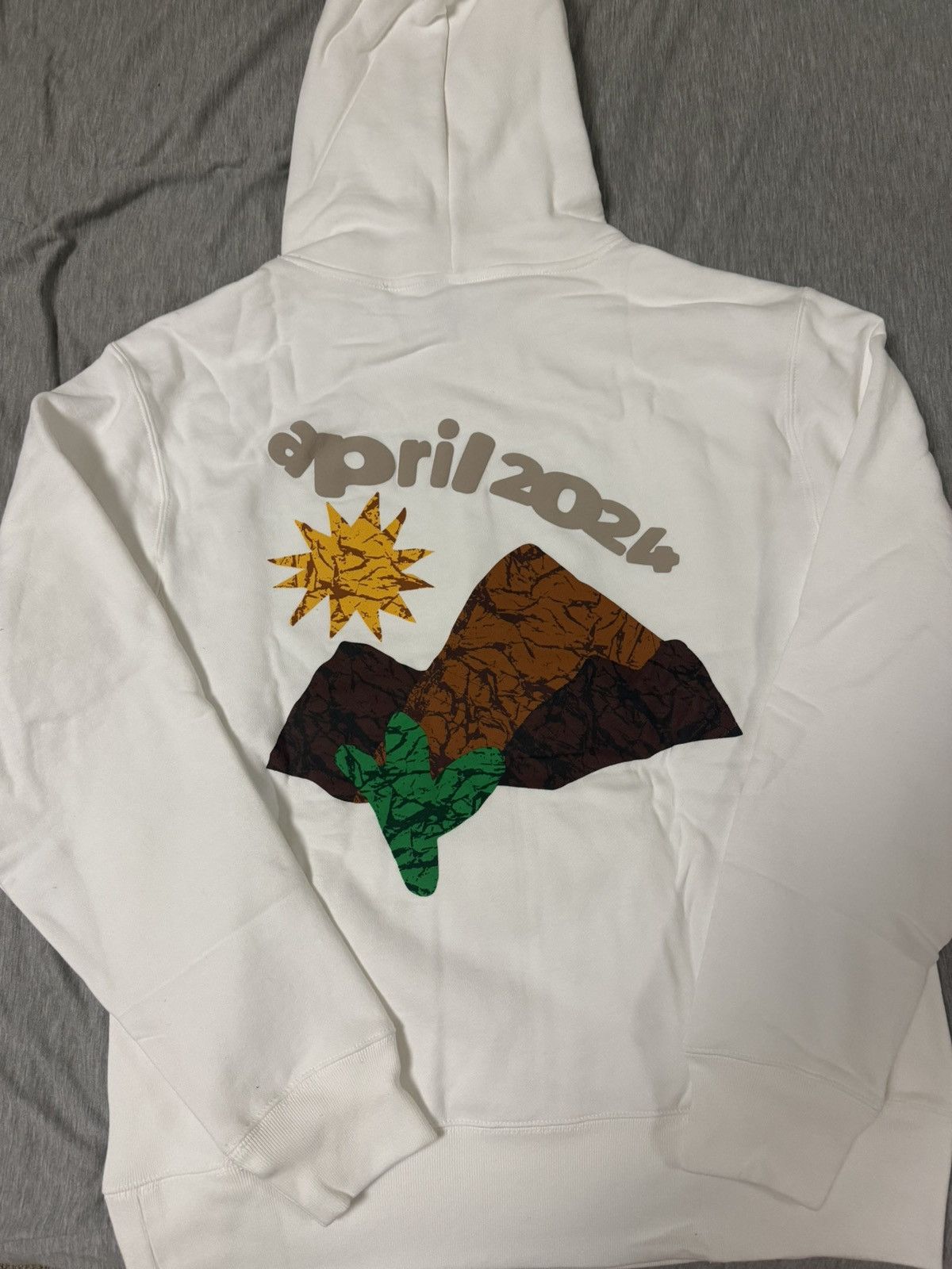 Coachella Coachella 2024 EXCLUSIVE Presale hoodie RARE SZ M or L Size US L / EU 52-54 / 3 - 3 Thumbnail