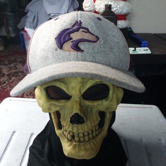 NCAA × Vintage Vintage Colosseum Washington Huskies Wool Fitted Hat Cap Size ONE SIZE - 1 Thumbnail