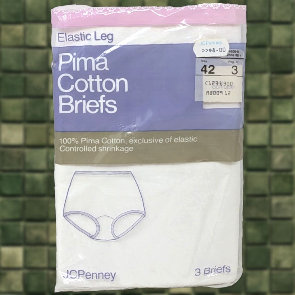 JCPenney VINTAGE J. C. Penney Panties Briefs 42 White Cotton 3 Pack Underwear Women Regular 42 Panties Briefs Size 28" / US 6 / IT 42 - 1 Thumbnail