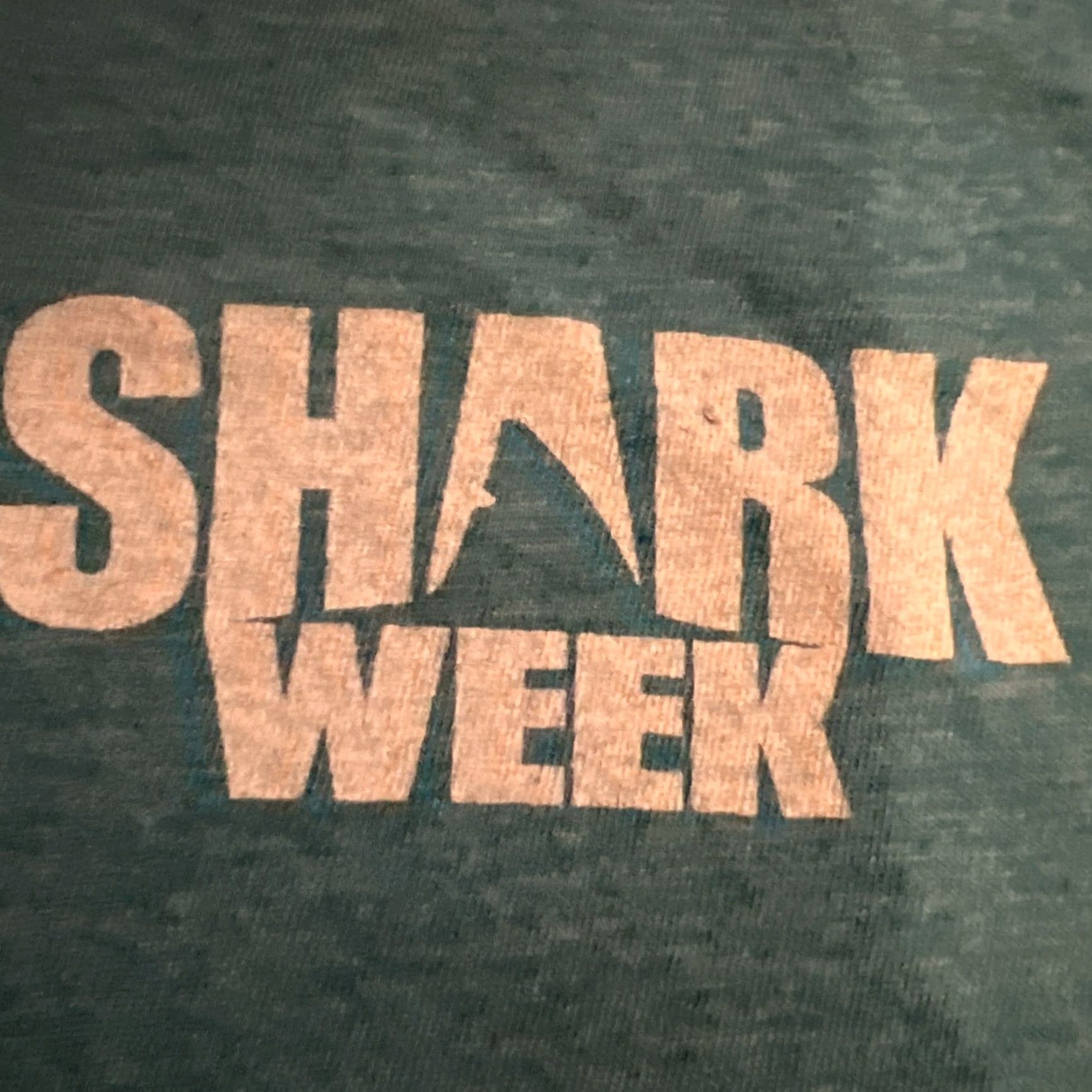 Vintage VINTAGE Discovery TV Channel 2017 Shark Week Otter Shark Circling Logo Shirt Large New Size US L / EU 52-54 / 3 - 5 Thumbnail