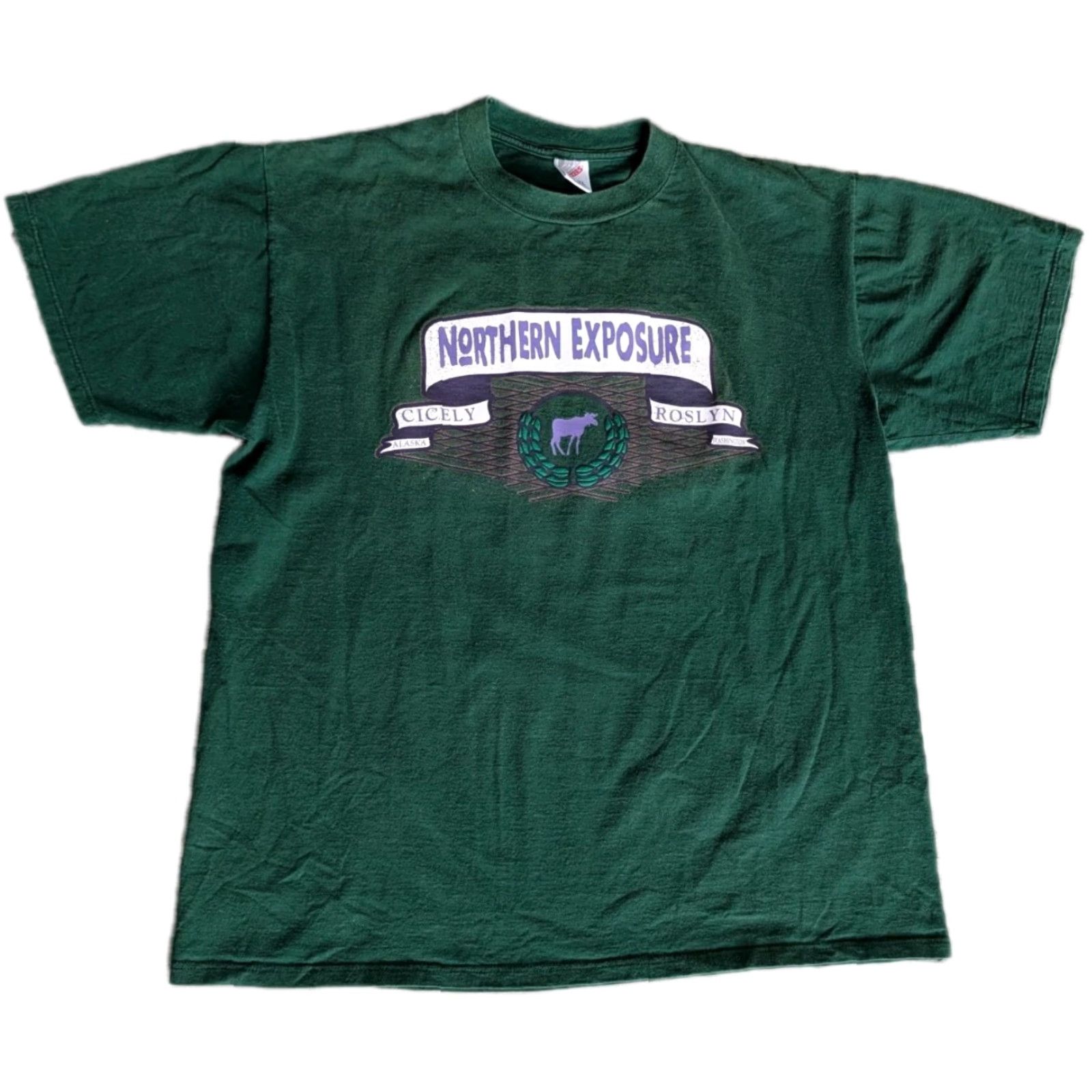 Jerzees VINTAGE 90s Northern Exposure T Shirt Cicely Alaska Roslyn Washington Jerzees XL Green Unisex Graphic Tee USA Made Short Sleeve Size US XL / EU 56 / 4 - 2 Thumbnail
