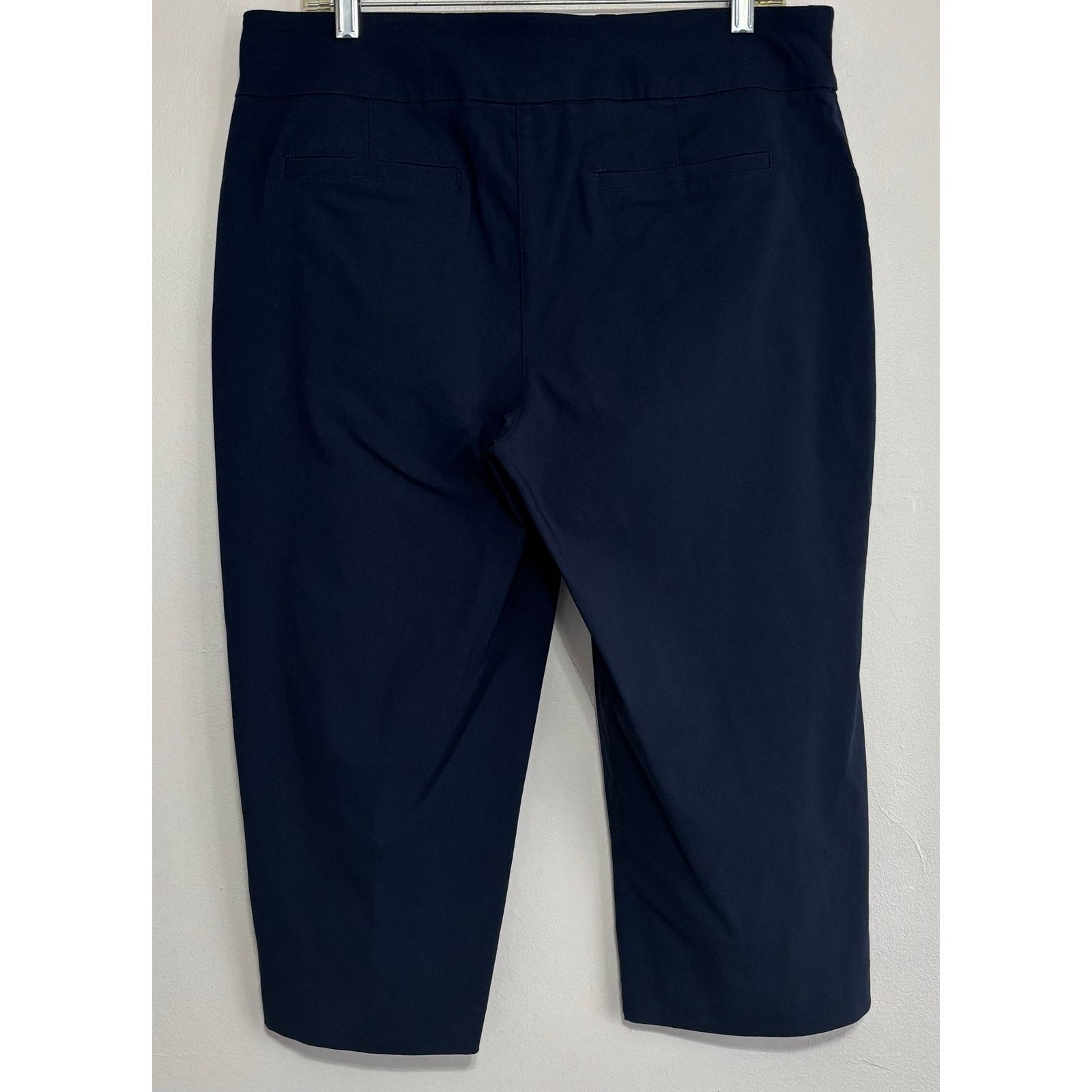 Other Coral Bay Blue Tummy Control Capri Pants 16P Size 38" / US 16 / IT 52 - 2 Thumbnail