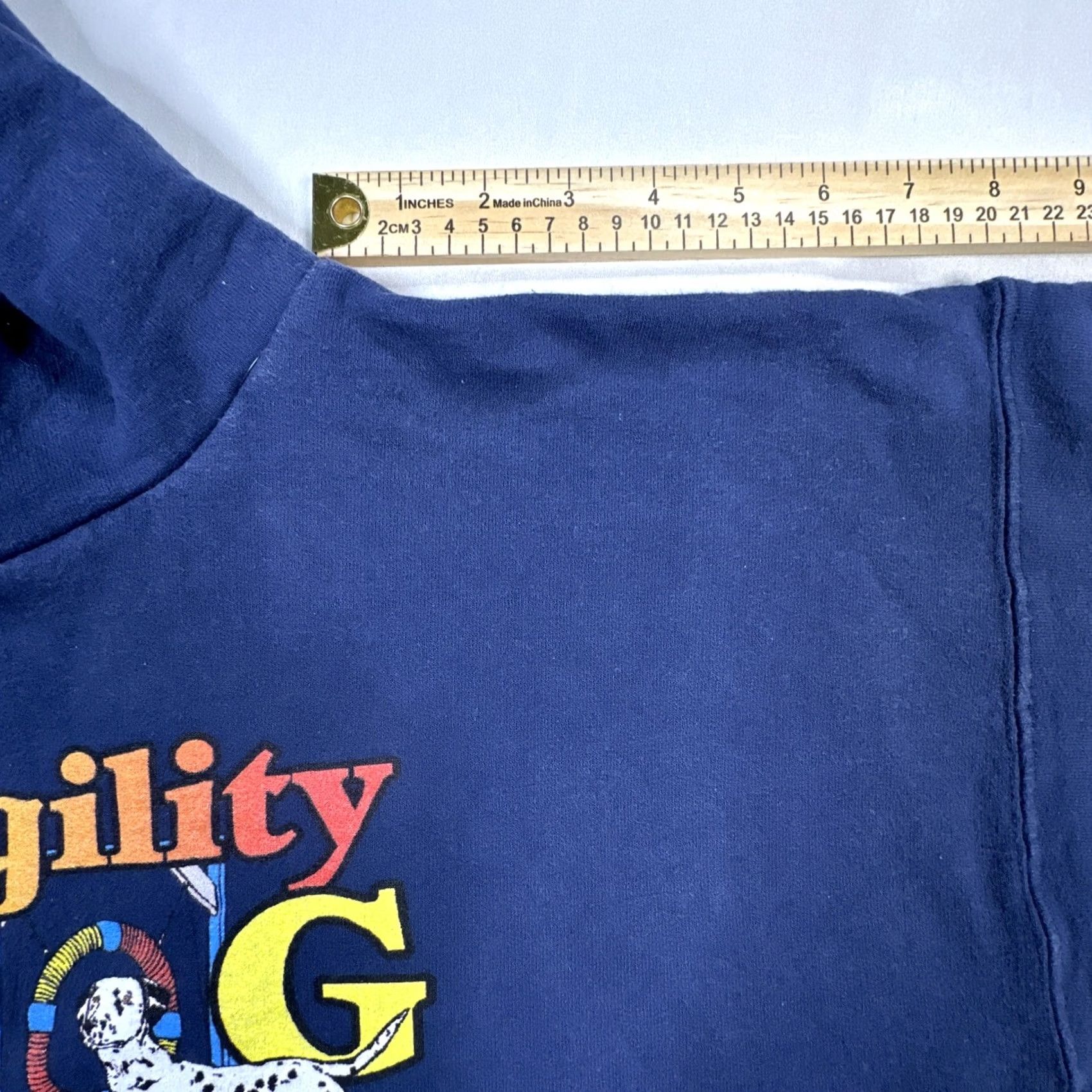 Hanes VINTAGE Hanes Hoodie Dalmatian Dog Agility Blue Graphic Print 90s Y2K Large Unisex Adults Size US L / EU 52-54 / 3 - 3 Thumbnail