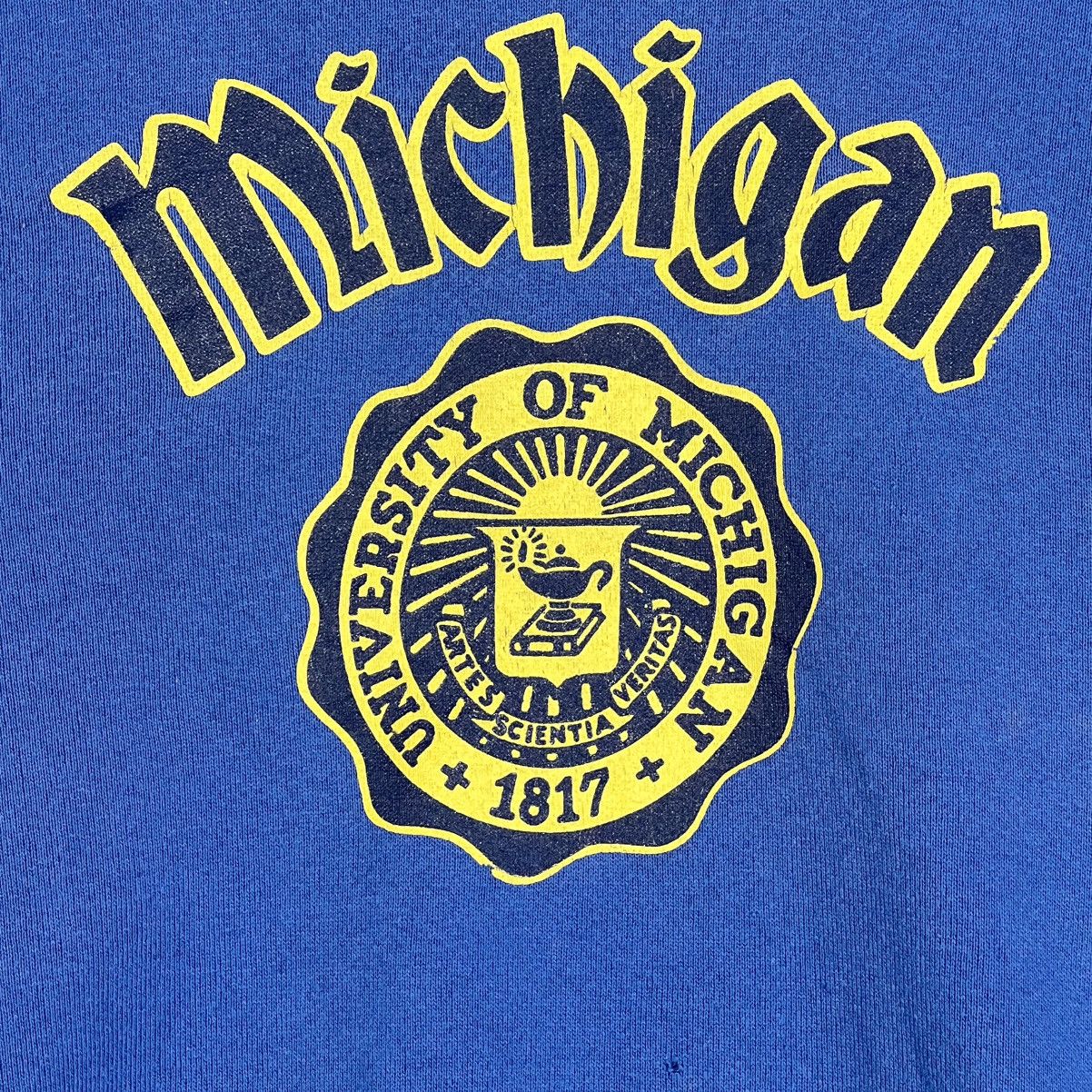 Vintage 90s Vintage University of Michigan Wolverines Crew Neck Size US M / EU 48-50 / 2 - 4 Thumbnail