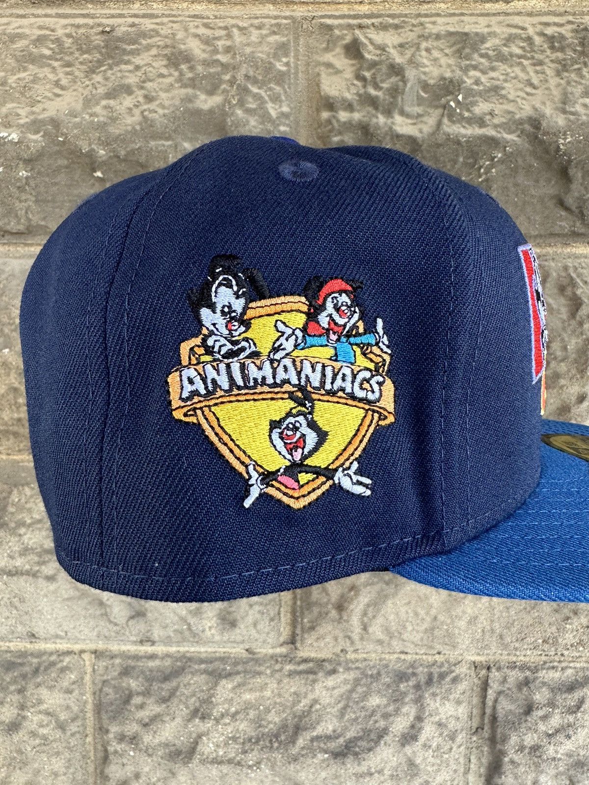 ANIMANIACS YAKKO WAKKO DOT WARNER BROS NEW ERA FITTED CAP