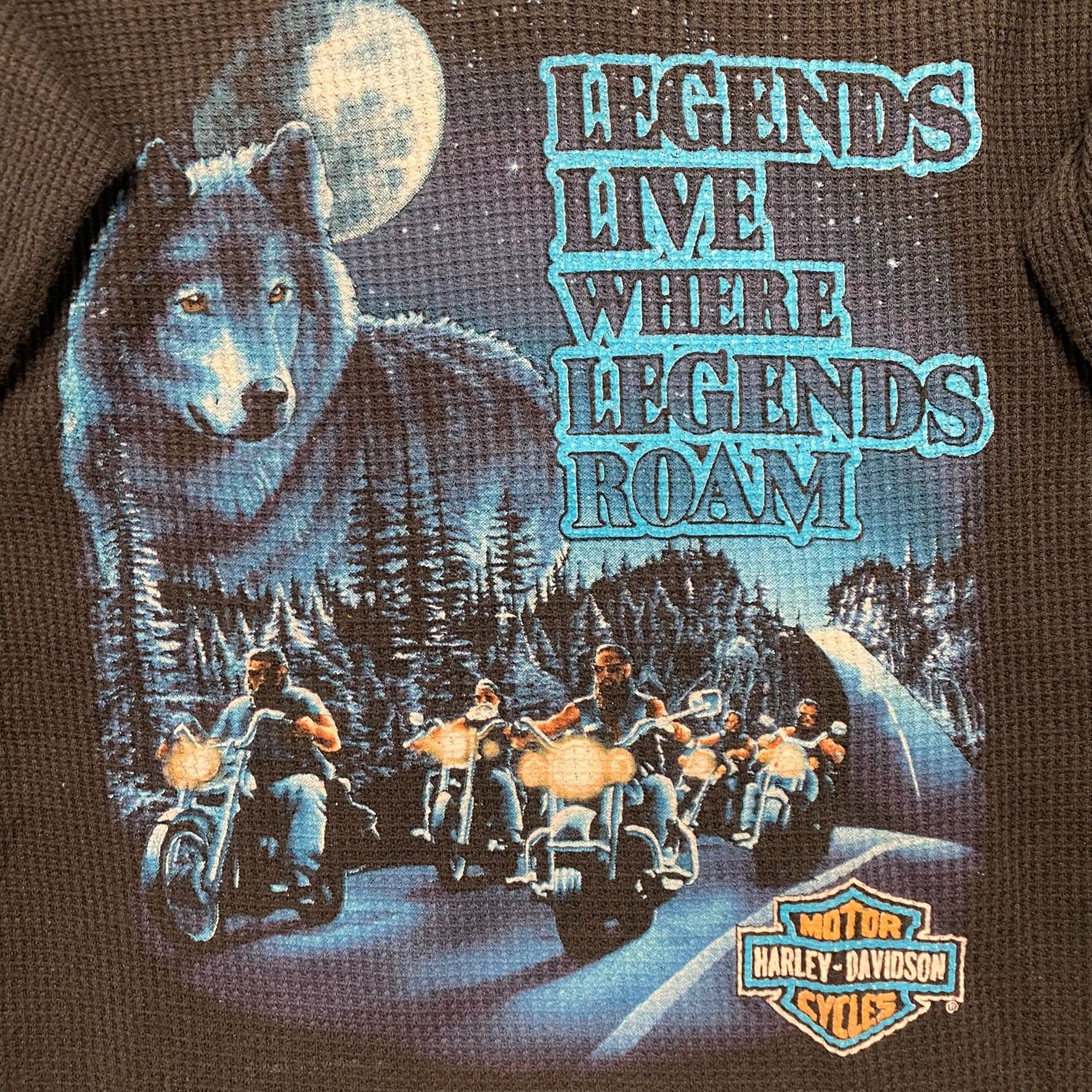 Harley Davidson Harley Davidson Waffle Knit Thermal Vintage 80s Wolf Tee Size US S / EU 44-46 / 1 - 3 Thumbnail