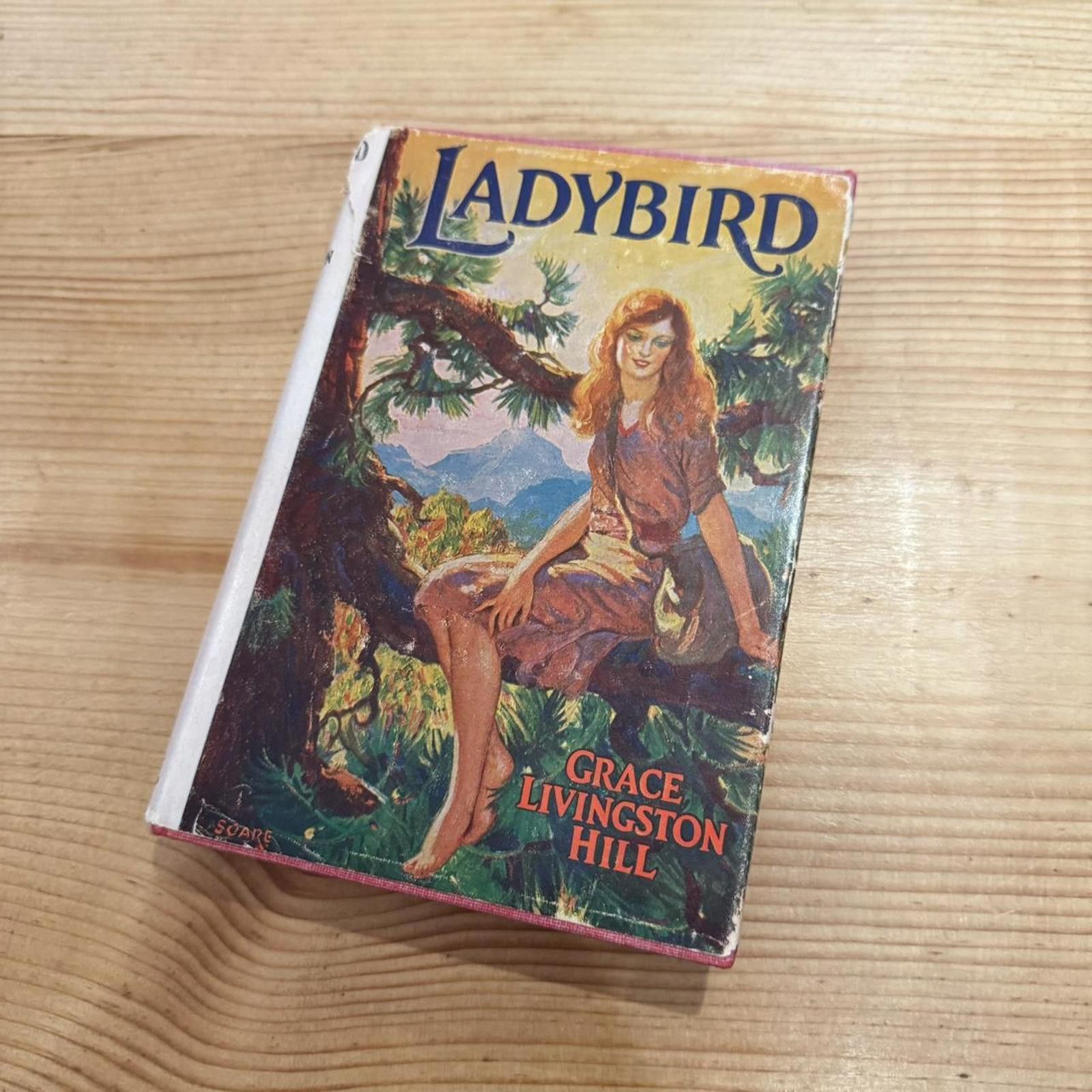 Designer Ladybird Grace Livingston Hill Hardcover Book Size ONE SIZE - 2 Thumbnail