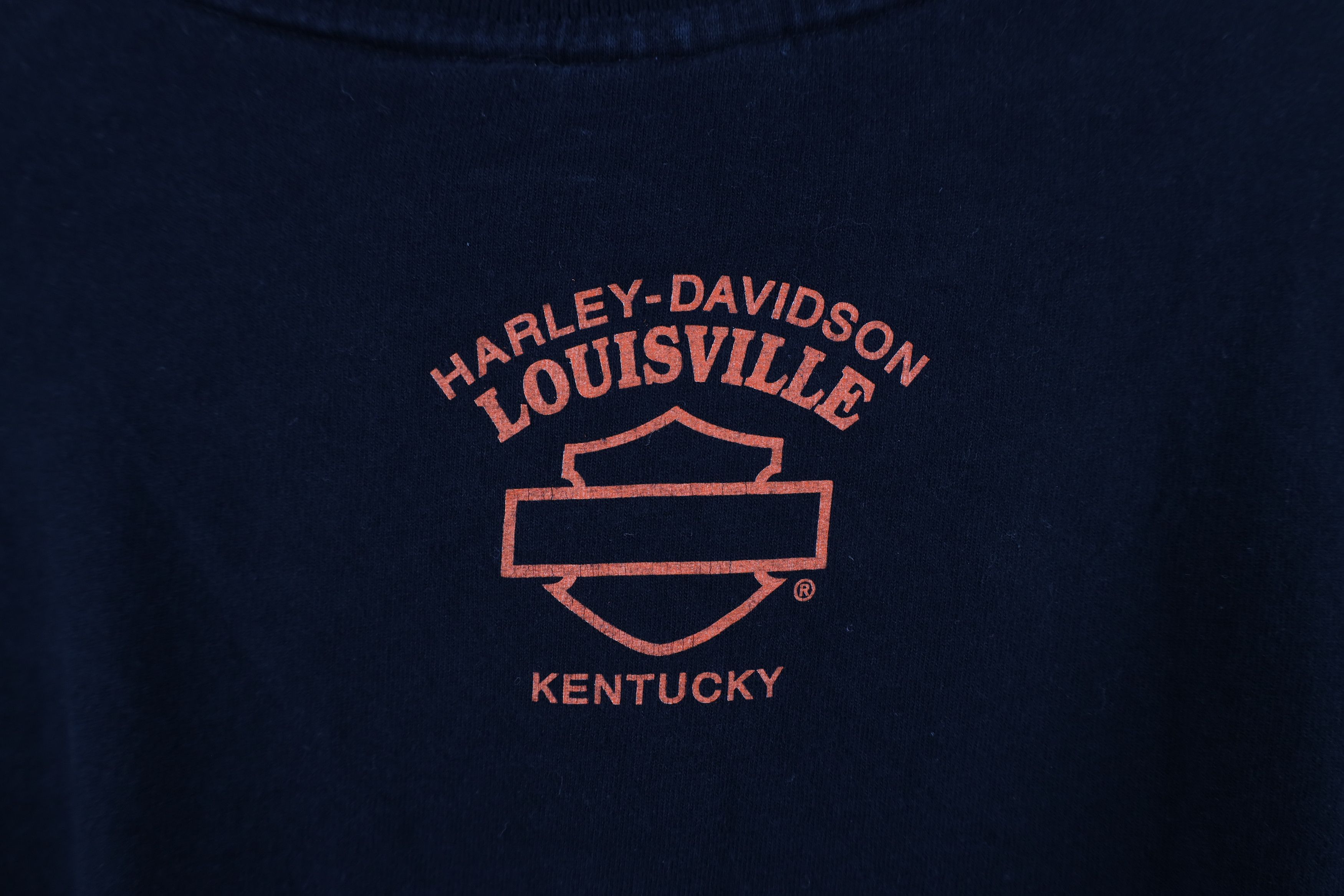 Harley Davidson Vintage Y2K Harley Davidson Fire Flames Collared Polo Shirt Size US XL / EU 56 / 4 - 11 Thumbnail