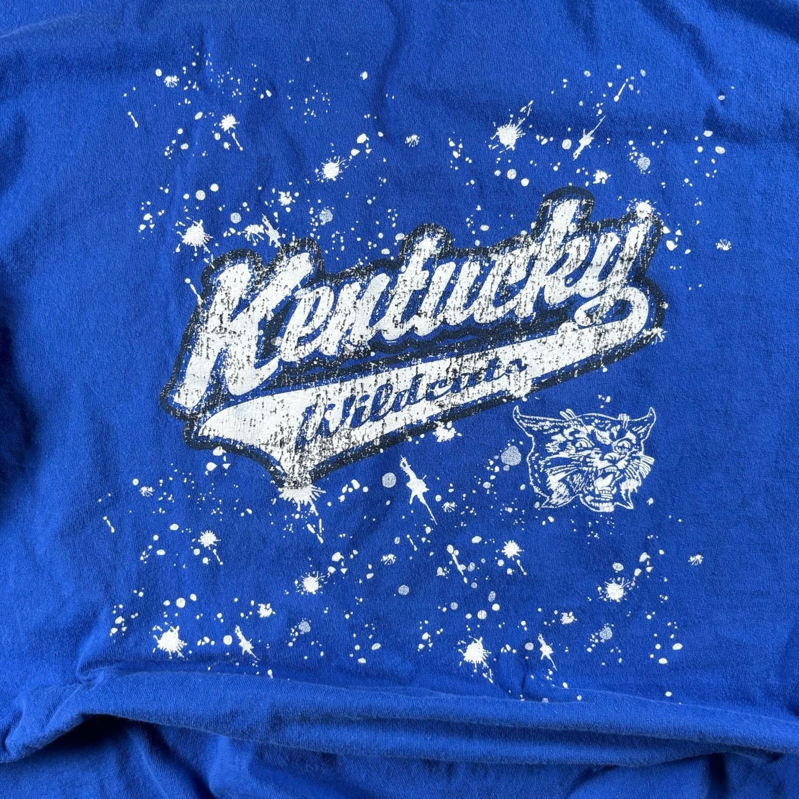 Anvil Kentucky y2K t shirt Size US L / EU 52-54 / 3 - 5 Thumbnail