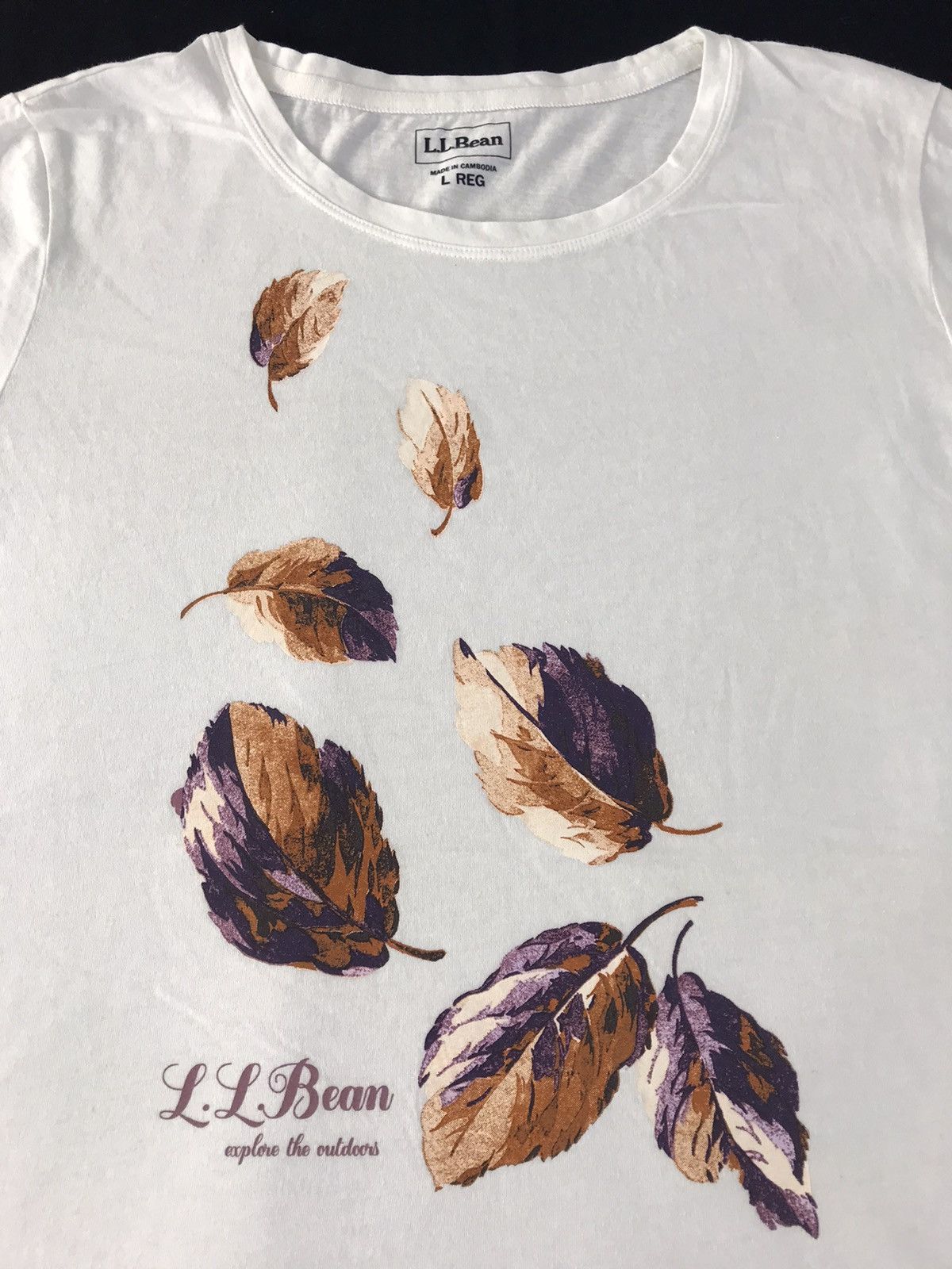 L.L. Bean LL Bean Explore The Outdoor Falling Dead Leave Logo Tee Size L / US 10 / IT 46 - 3 Thumbnail