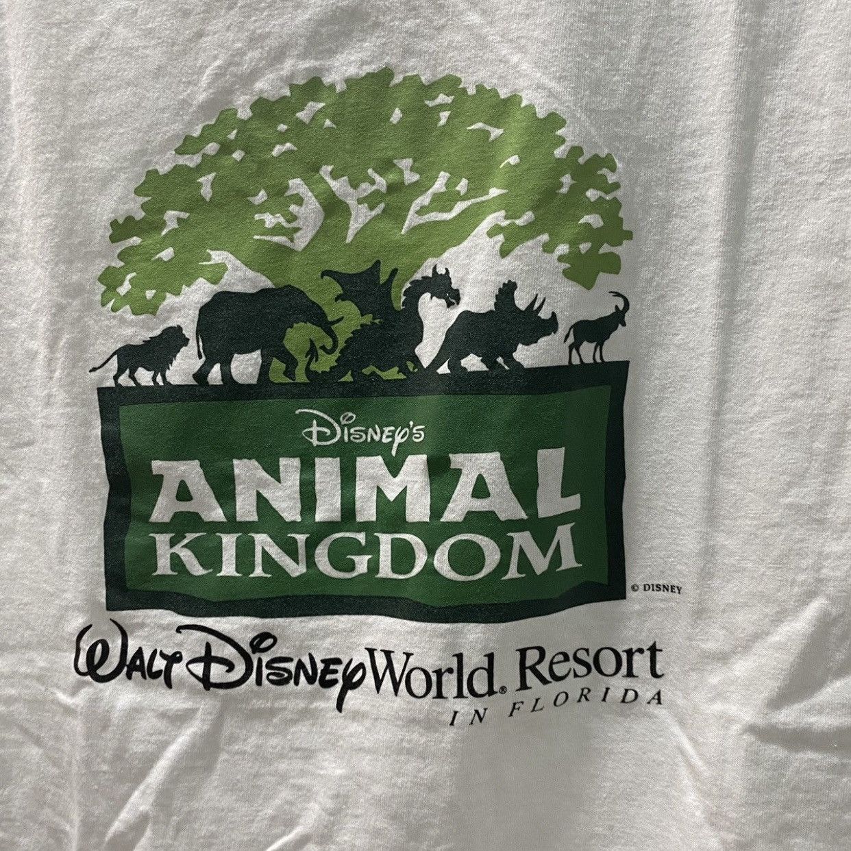 Disney Vintage 90s Disney Animal Kingdom T-Shirt Walt Disney World Size US M / EU 48-50 / 2 - 5 Thumbnail