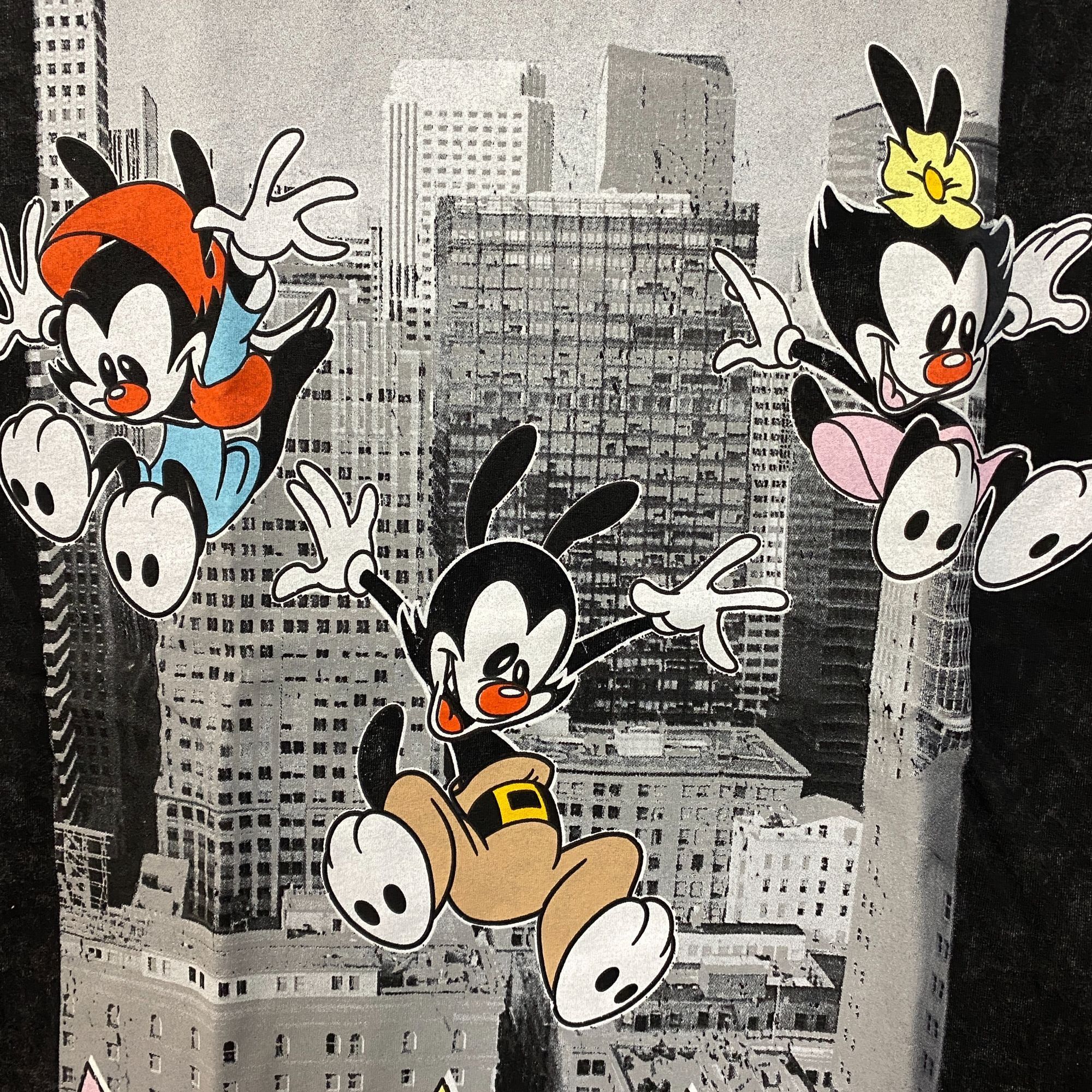 Warner Bros Warner Bros. Animaniacs Cartoon City Graphic Mineral Wash Vi Size US L / EU 52-54 / 3 - 4 Thumbnail