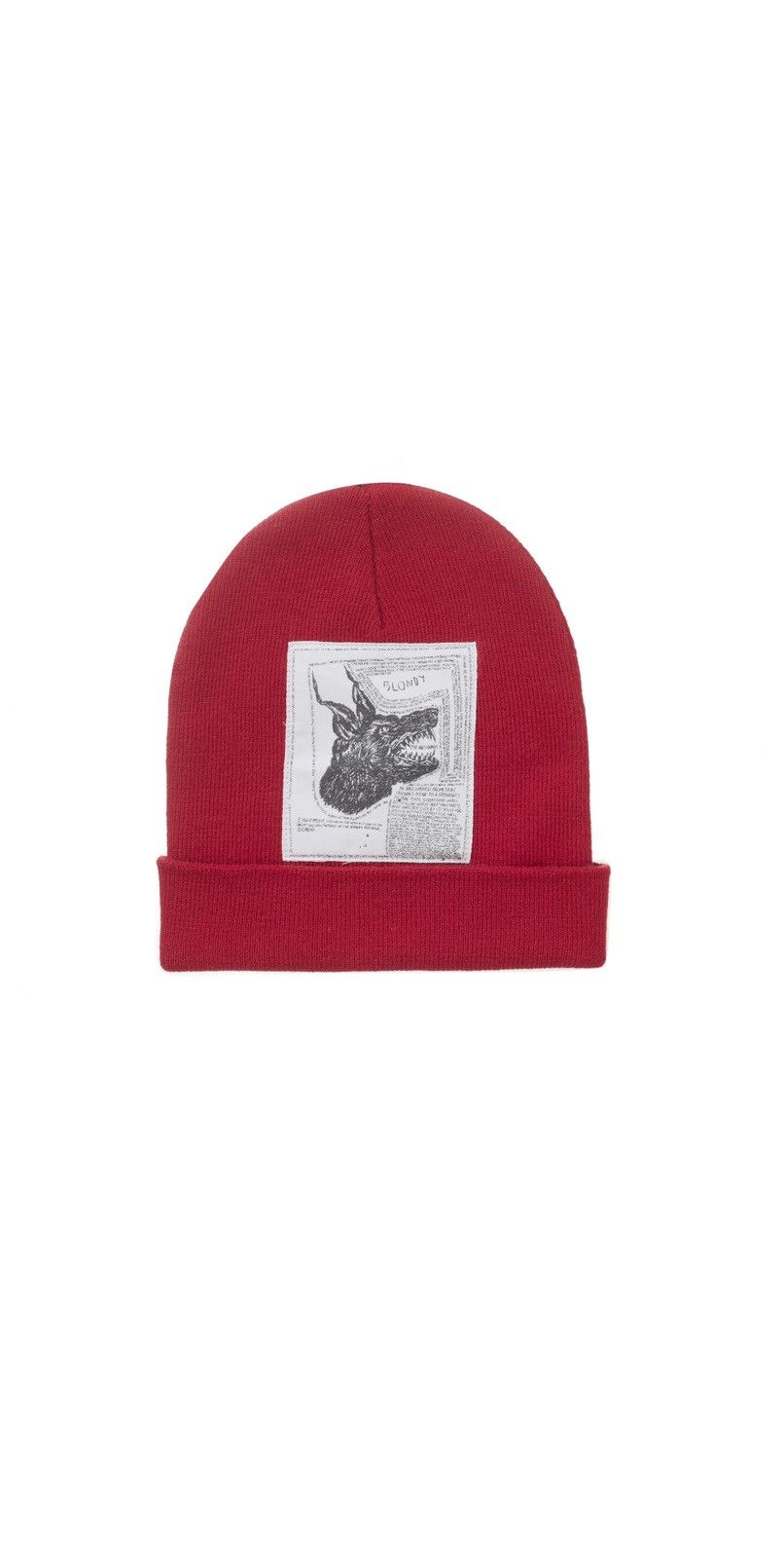 Supreme North Face Beanie | Grailed