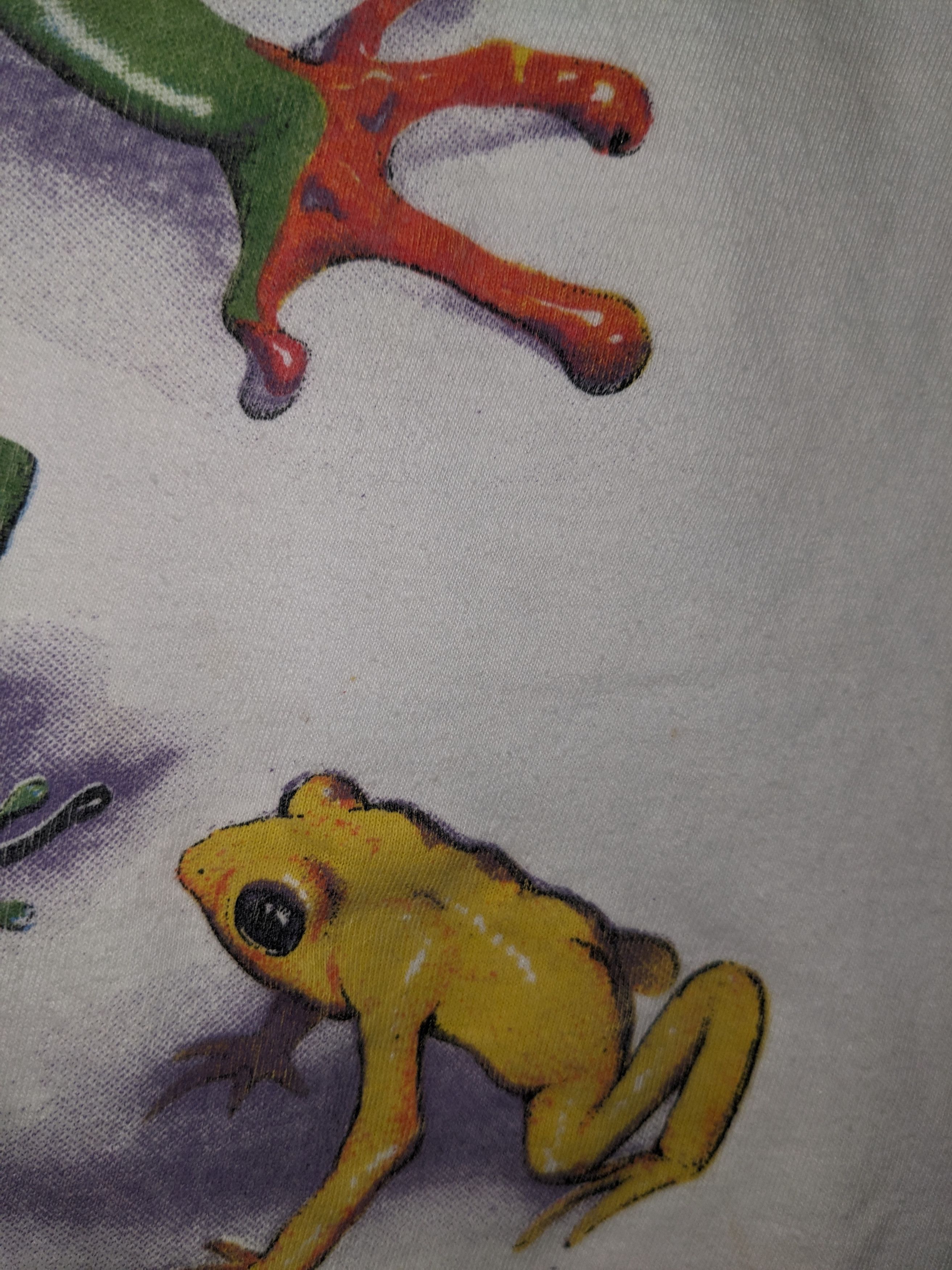 Vintage Vintage 90s Frogs Ranas Coasta Rica Animal Nature T-Shirt Size US L / EU 52-54 / 3 - 6 Thumbnail