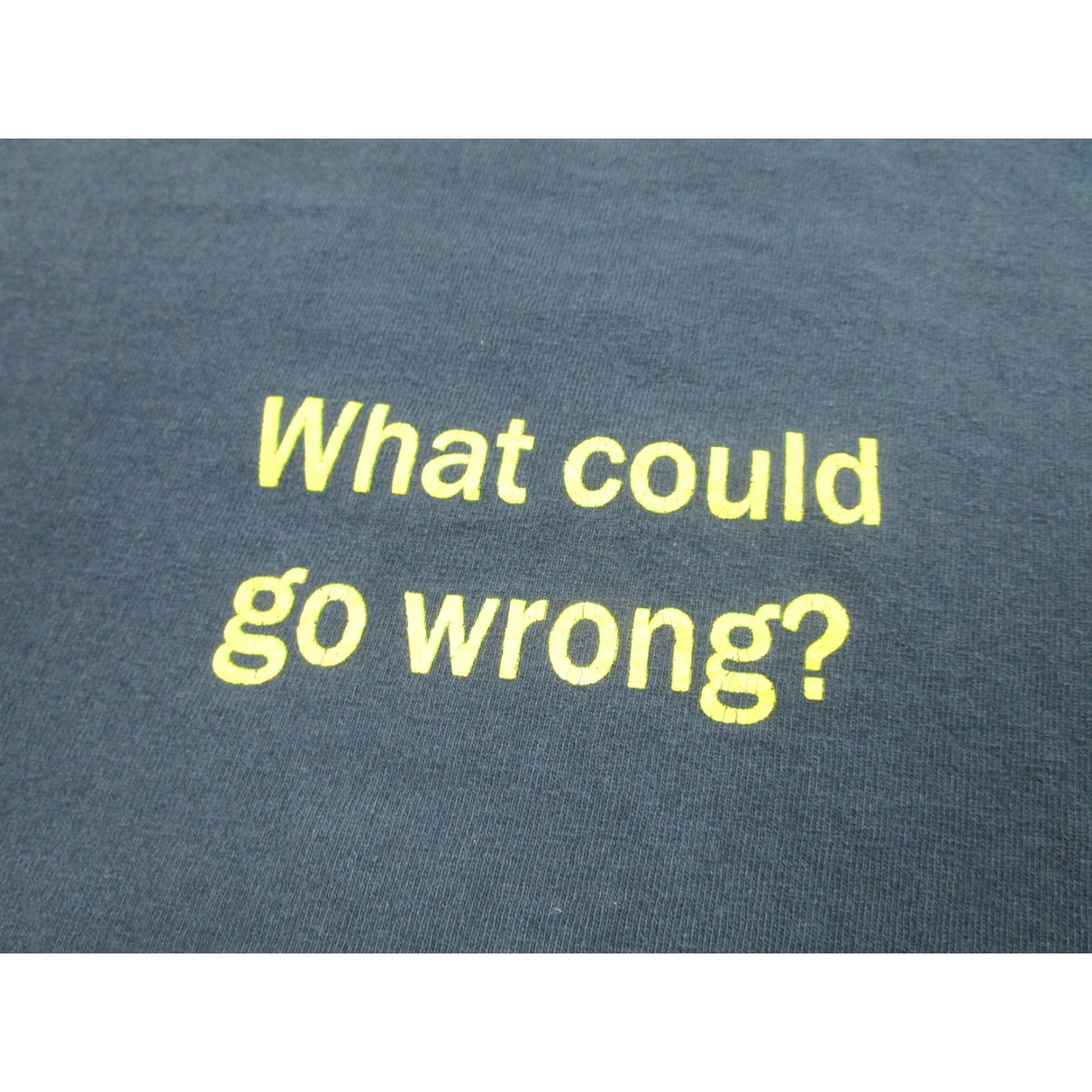 Gildan VINTAGE Fear Factor Shirt Mens XL TV Show Graphic Print Crew Neck Short Sleeve What Could Go Wrong 2.0 2.0 Fear Factor Mens XL Navy Blue? Size US XL / EU 56 / 4 - 4 Thumbnail
