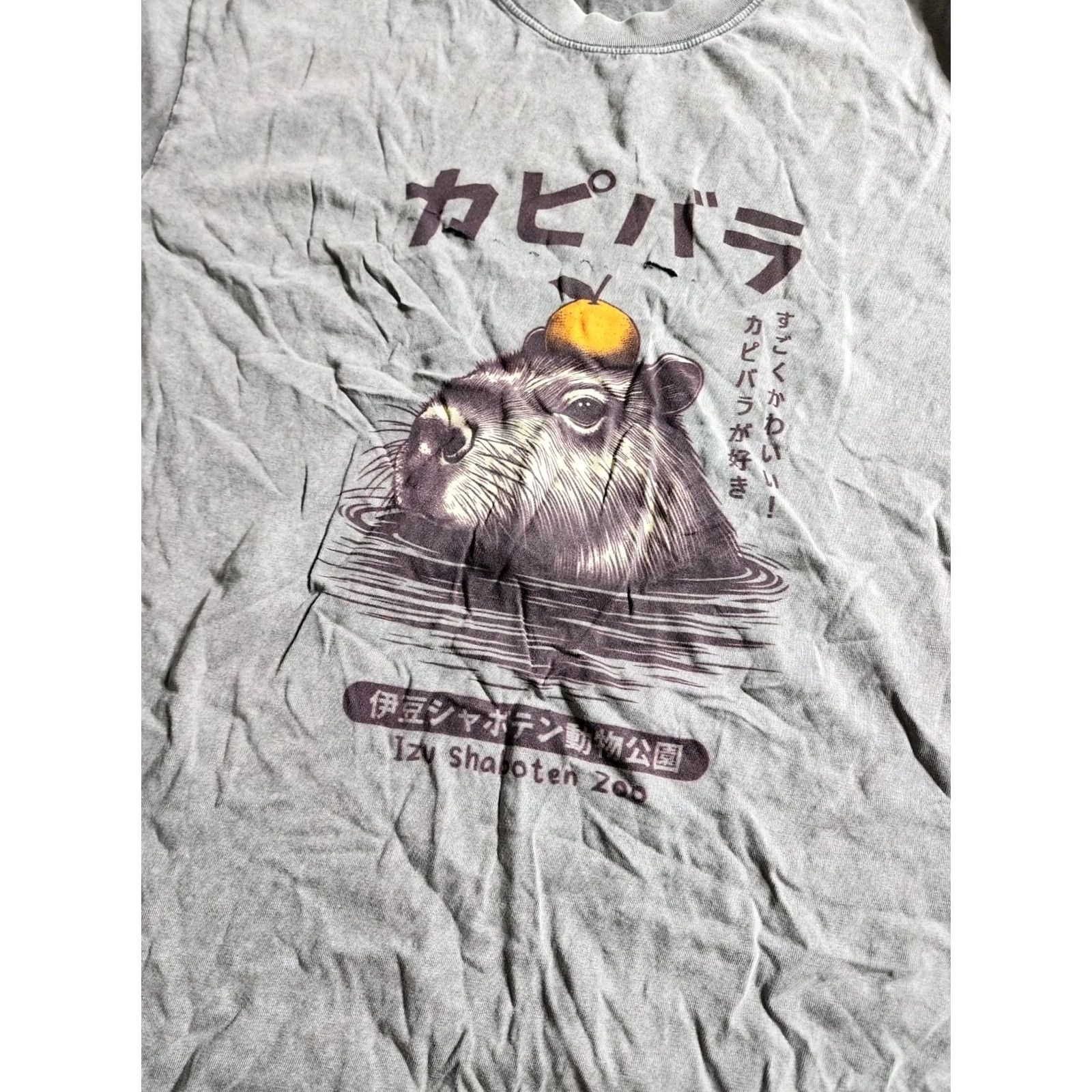 Thrasher Vintage Unbranded T-Shirt Mens L Gray 80s Retro Shaboten Zoo Capybara Japan Shirt Size US L / EU 52-54 / 3 - 4 Thumbnail