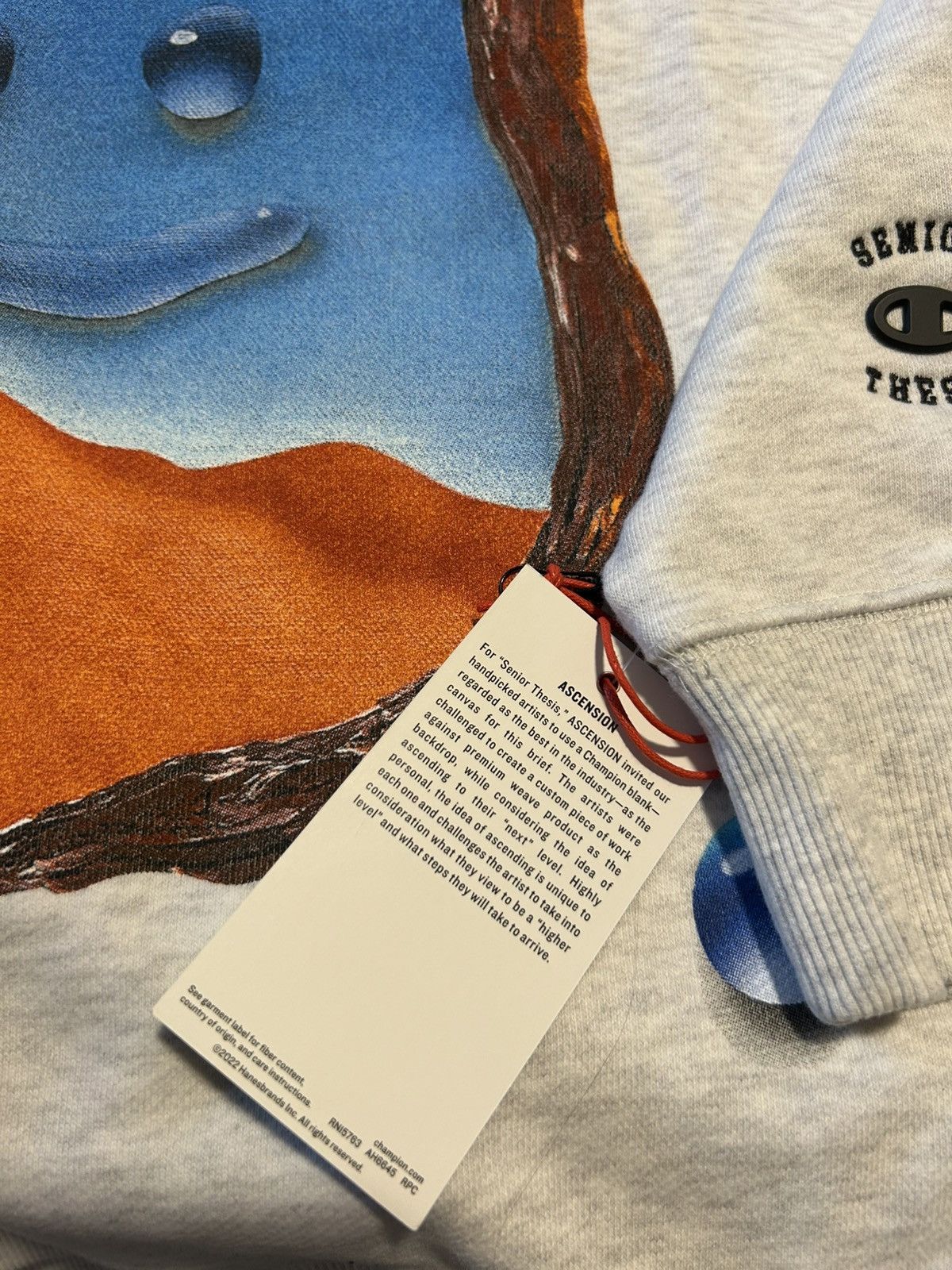 Champion Angelo Baque x Larissa De Jesus Negron Senior Thesis Crew Size US XL / EU 56 / 4 - 4 Thumbnail