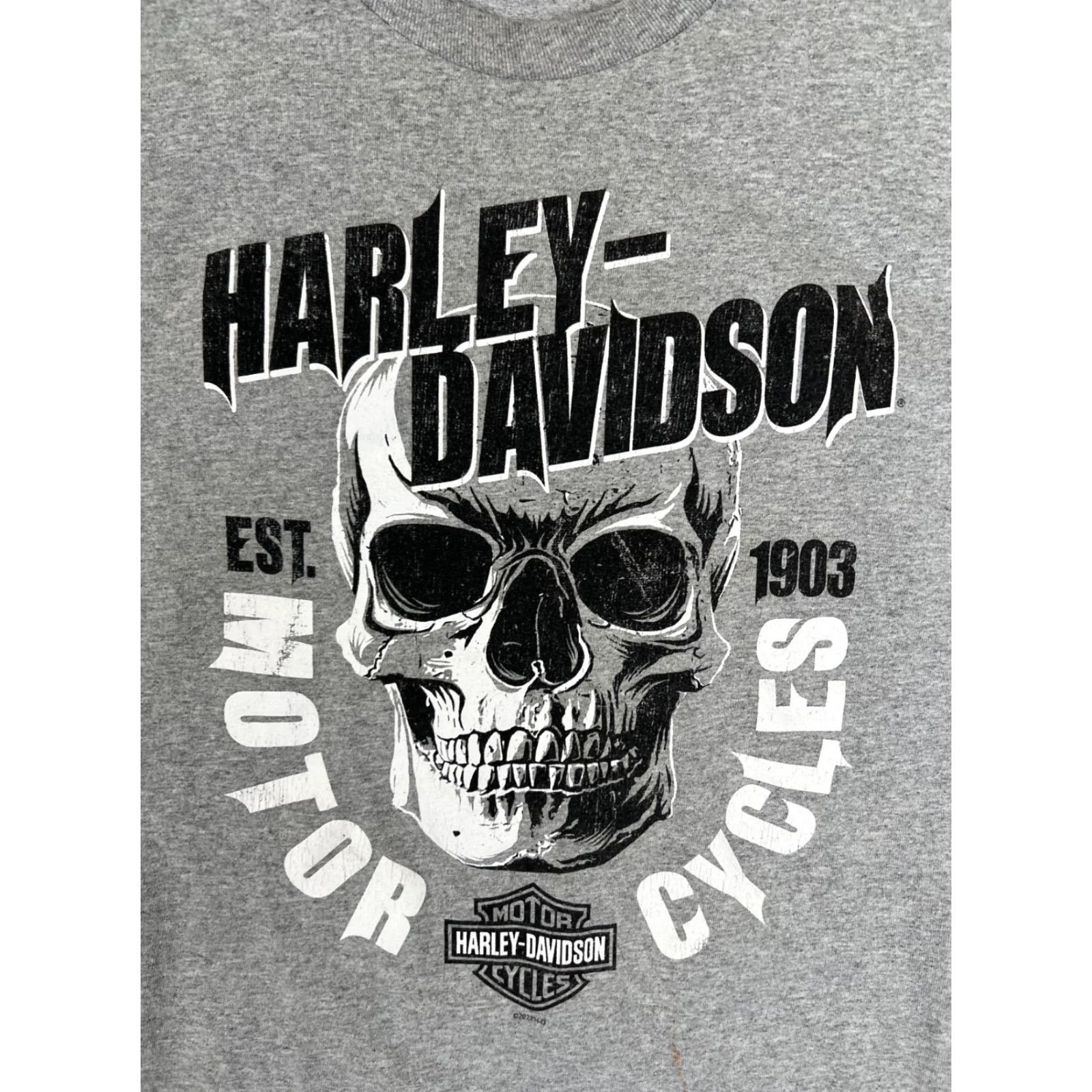 Harley Davidson Harley-Davidson Long Sleeve Shirt Mens XL Gray Skull Guadalajara Mexico Graphic Print Crew Neck Cotton Knitted 2010-2019 Vintage No Size US XL / EU 56 / 4 - 2 Thumbnail