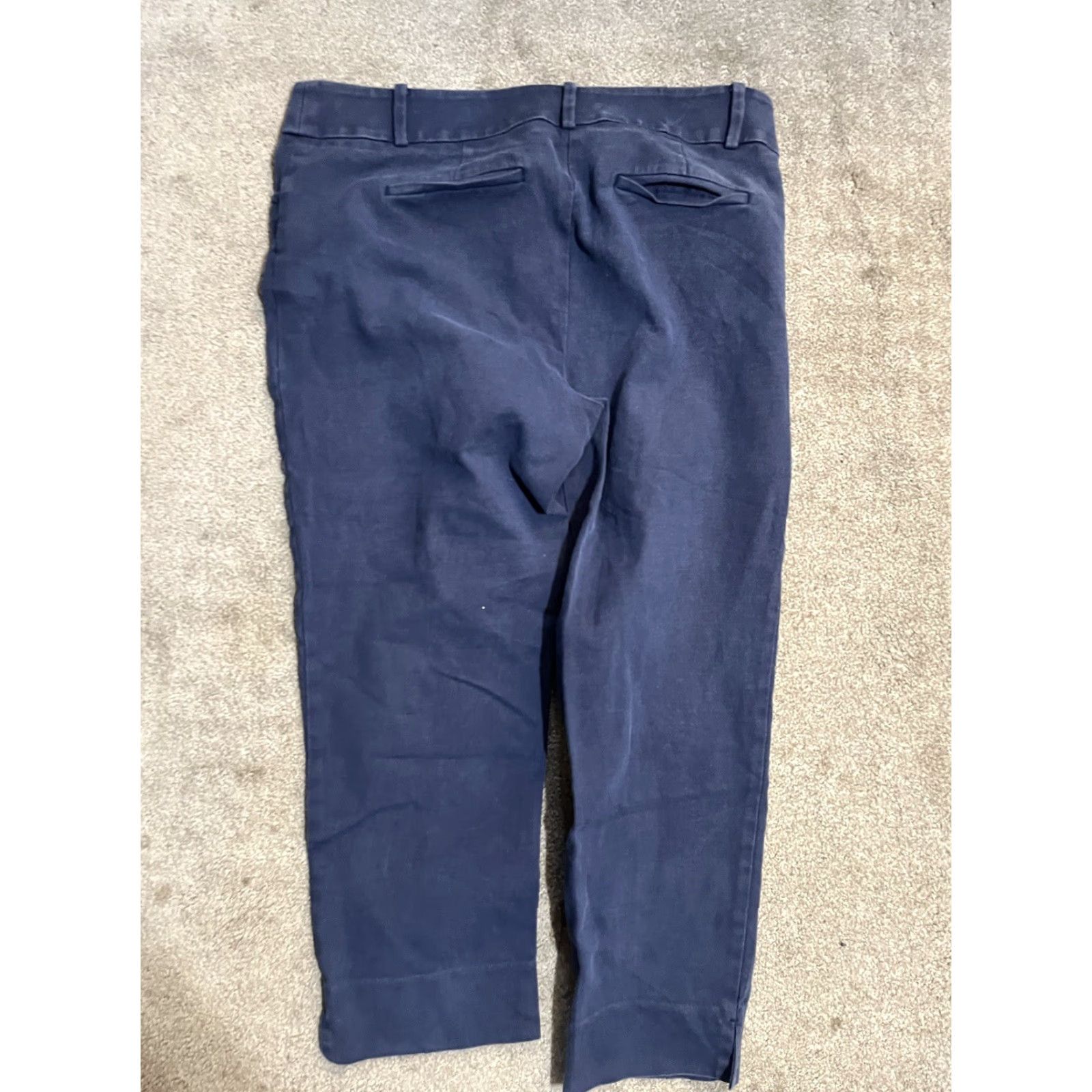 Ann Taylor VINTAGE Ladies Ann Taylor LOFT Marisa The Riviera Pant Chino Pants Size 10P Blue Size 32" / US 10 / IT 46 - 3 Thumbnail