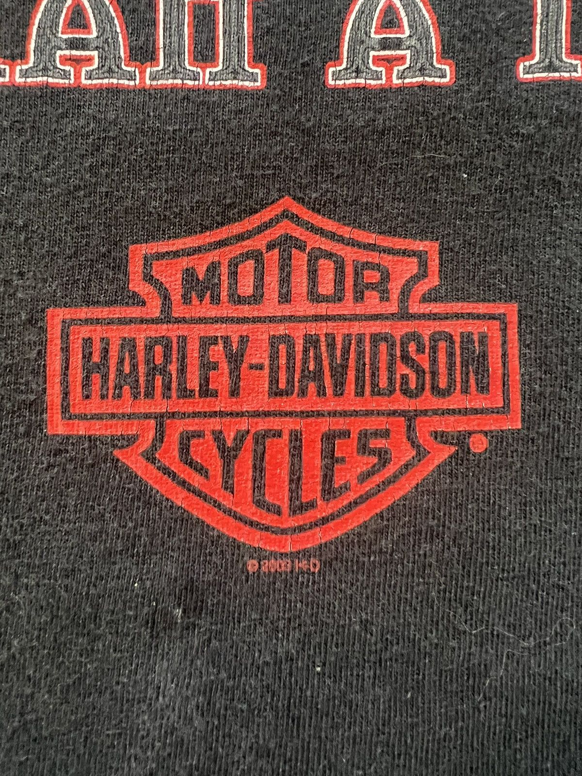 Harley Davidson Vintage Y2K Harley Davidson More than a Machine Amarillo TX Size US XL / EU 56 / 4 - 6 Thumbnail
