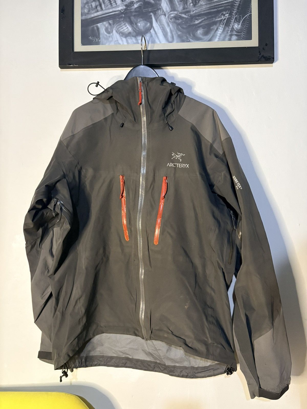 Arc'teryx Arcteryx alpha AR jacket Size US L / EU 52-54 / 3 - 1 Thumbnail